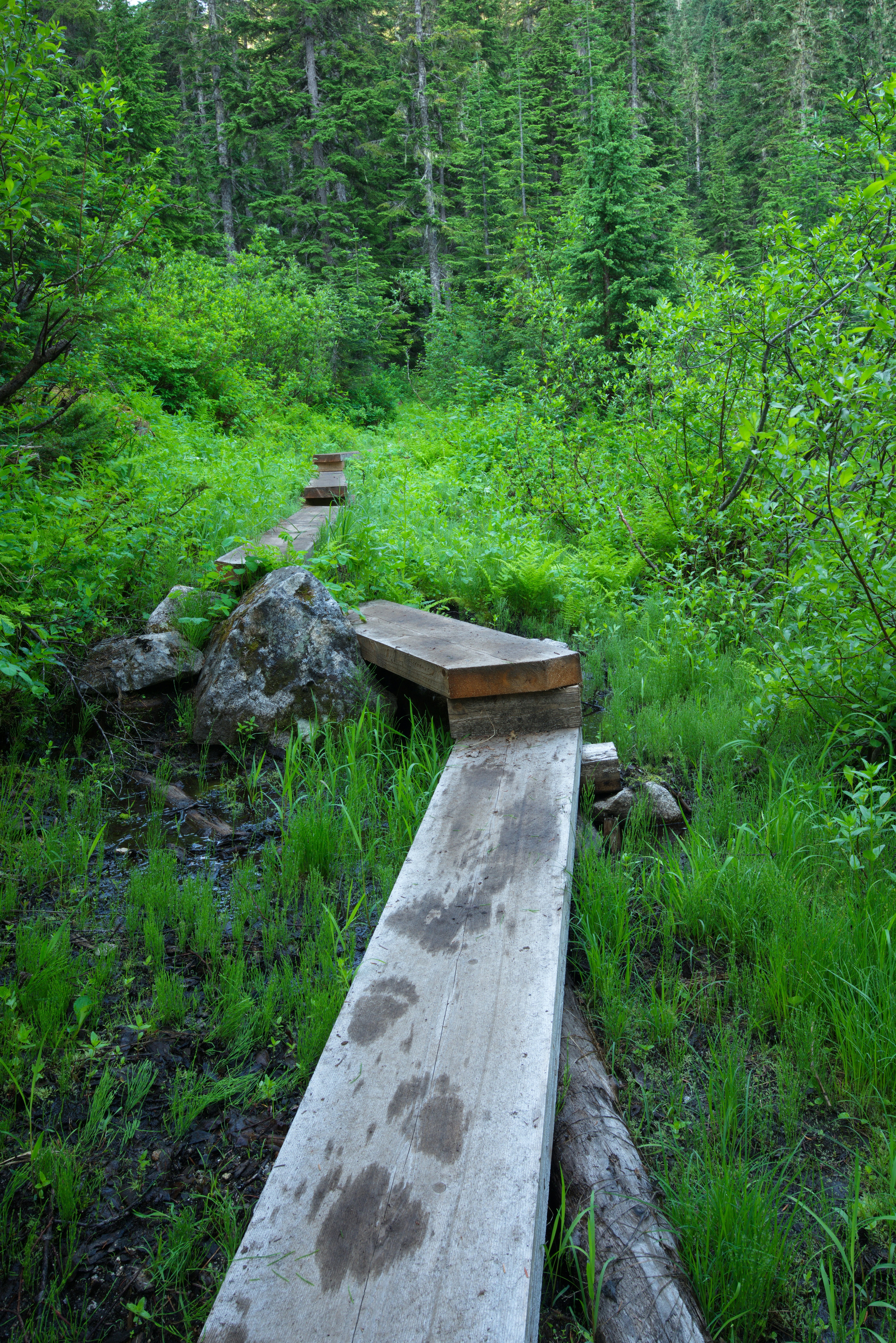 brown wooden post surrounded by green grass and trees