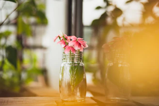 Artistic shot of the Aurora Pink jar surrounded by delicate rose petals on a beige background.