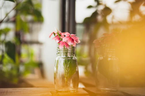 Artistic shot of the Aurora Pink jar surrounded by delicate rose petals on a beige background.