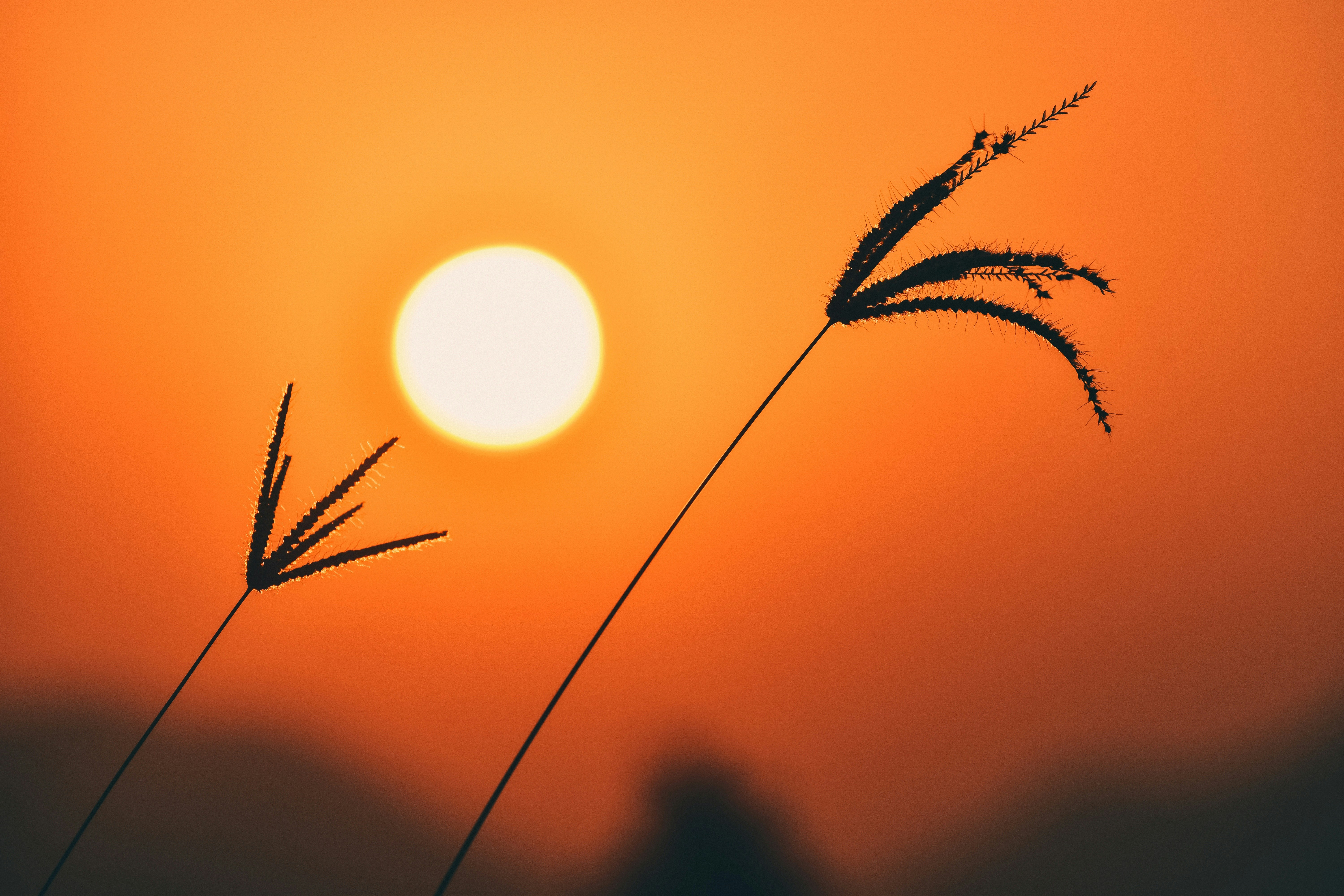 Photo by navi_photography