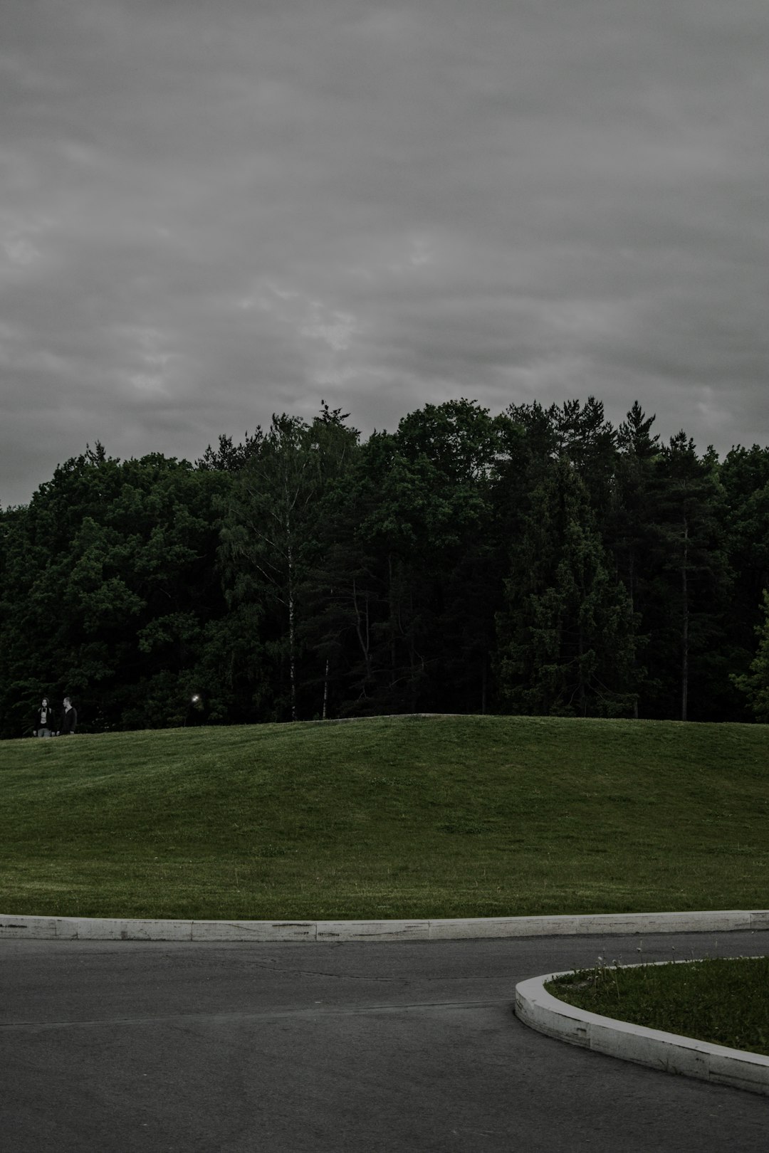 green grass field with trees under gray sky