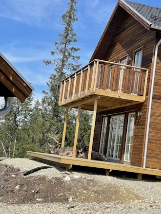 A cozy wooden house surrounded by Norwegian nature with soft natural light.