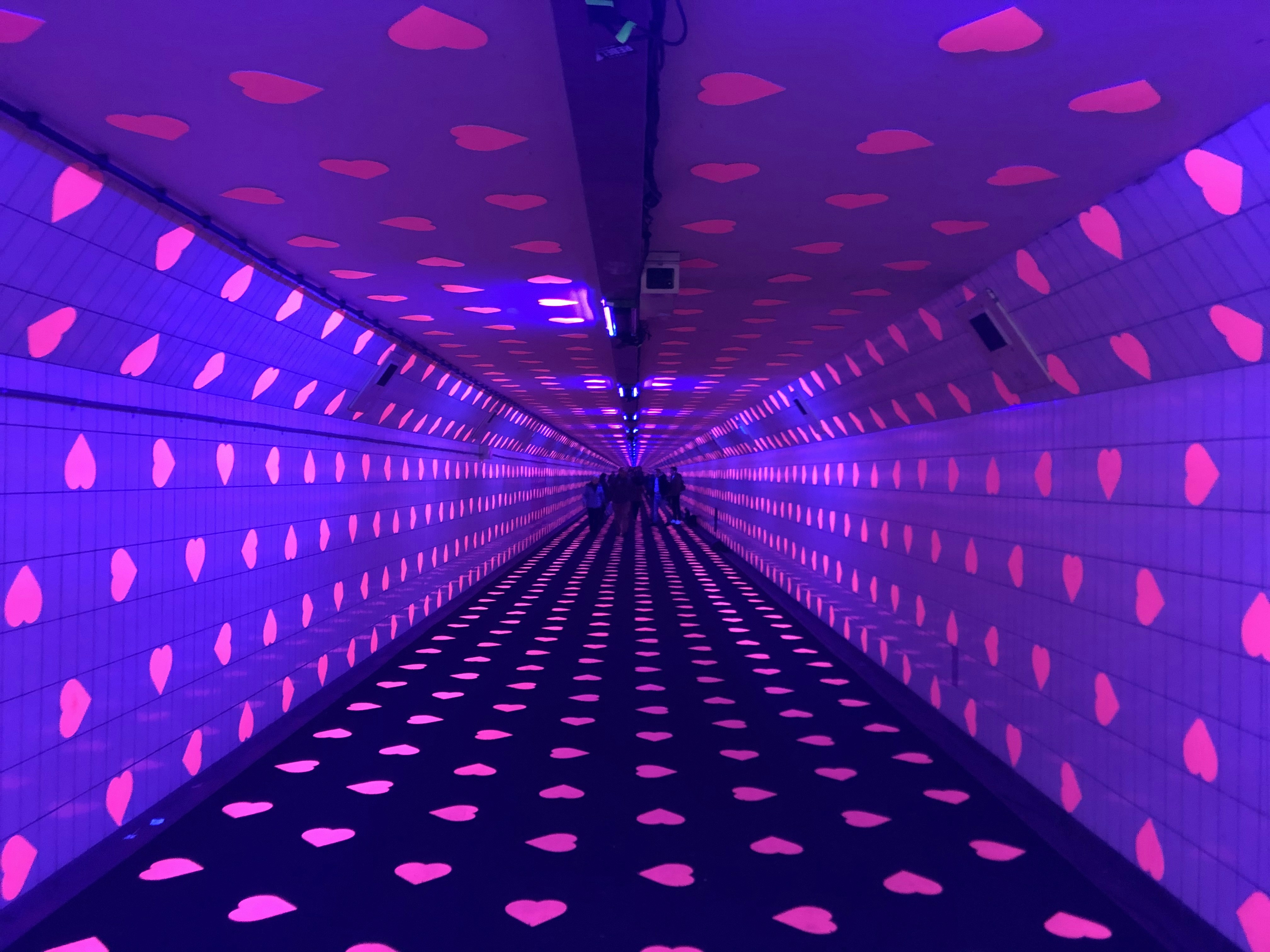 ピンクと黒の水玉模様の廊下の写真 Unsplashで見つけるロッテルダムの無料写真