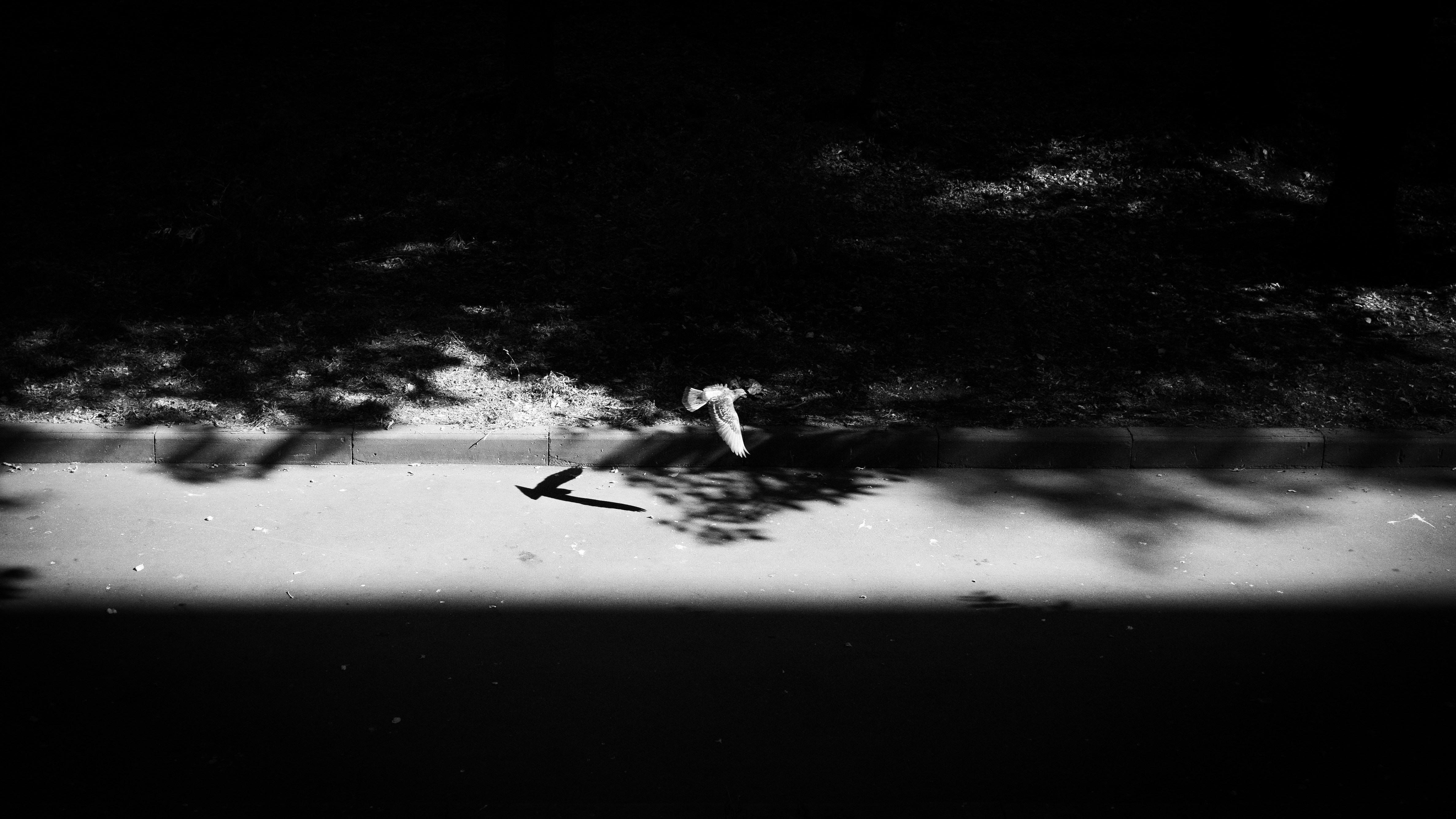 Photo by shklyaevmax