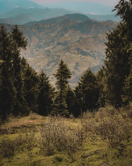 A scenic view of a lush green landscape with mountains in the background.