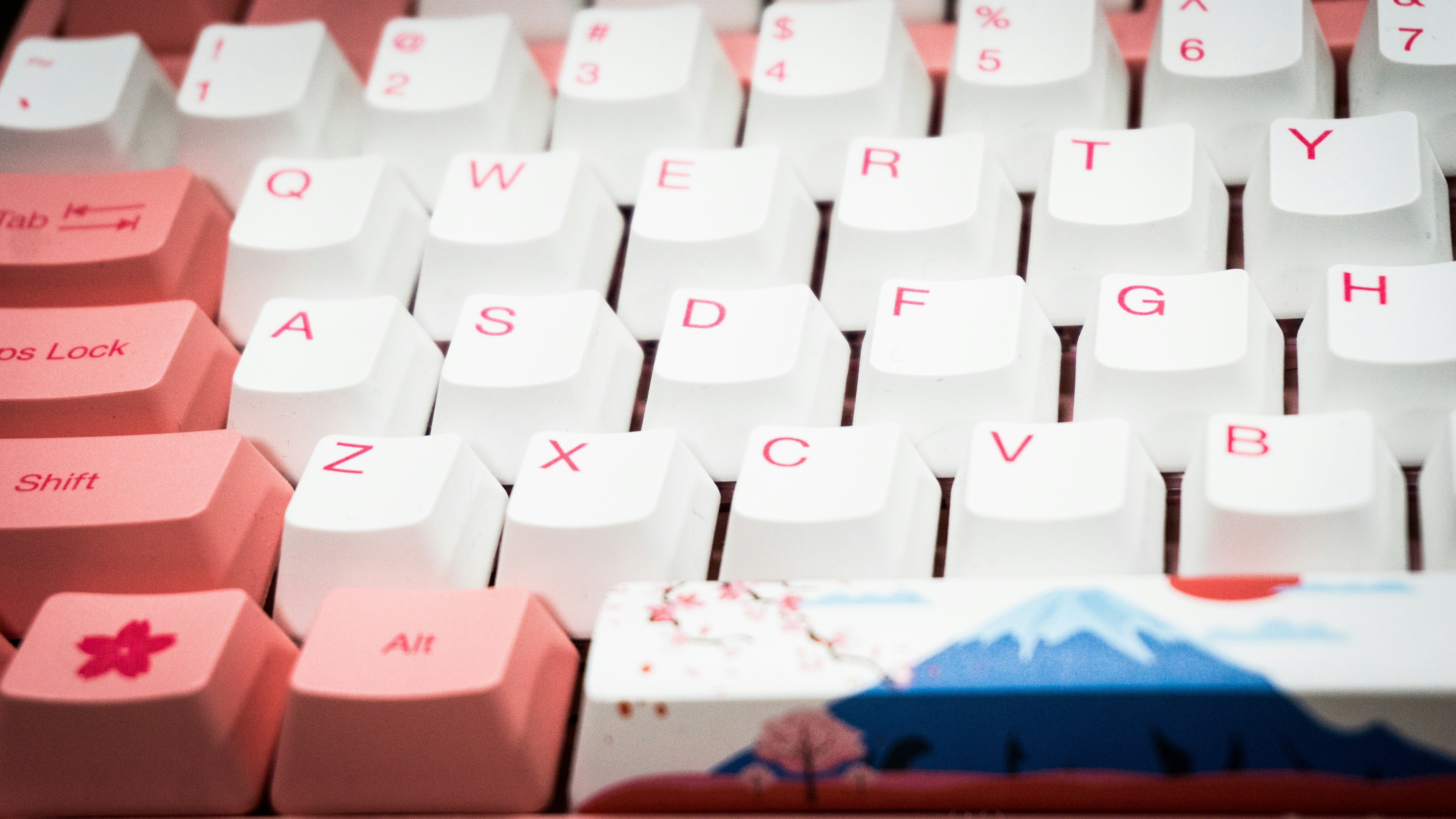 white and blue plastic toy