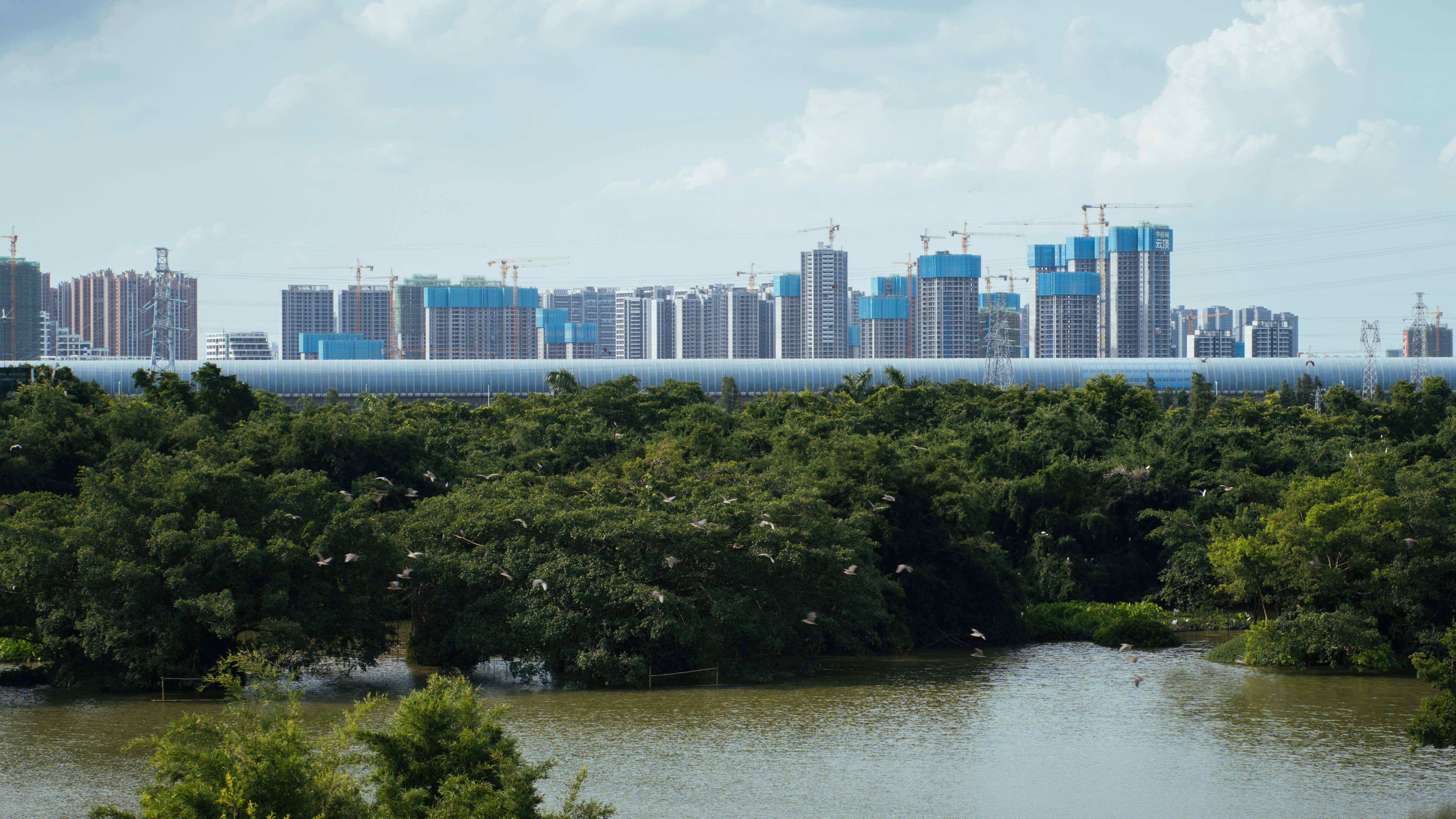 tropical city database, wallpaper, SQL in Kota Kinabalu: A Comprehensive Guide 2