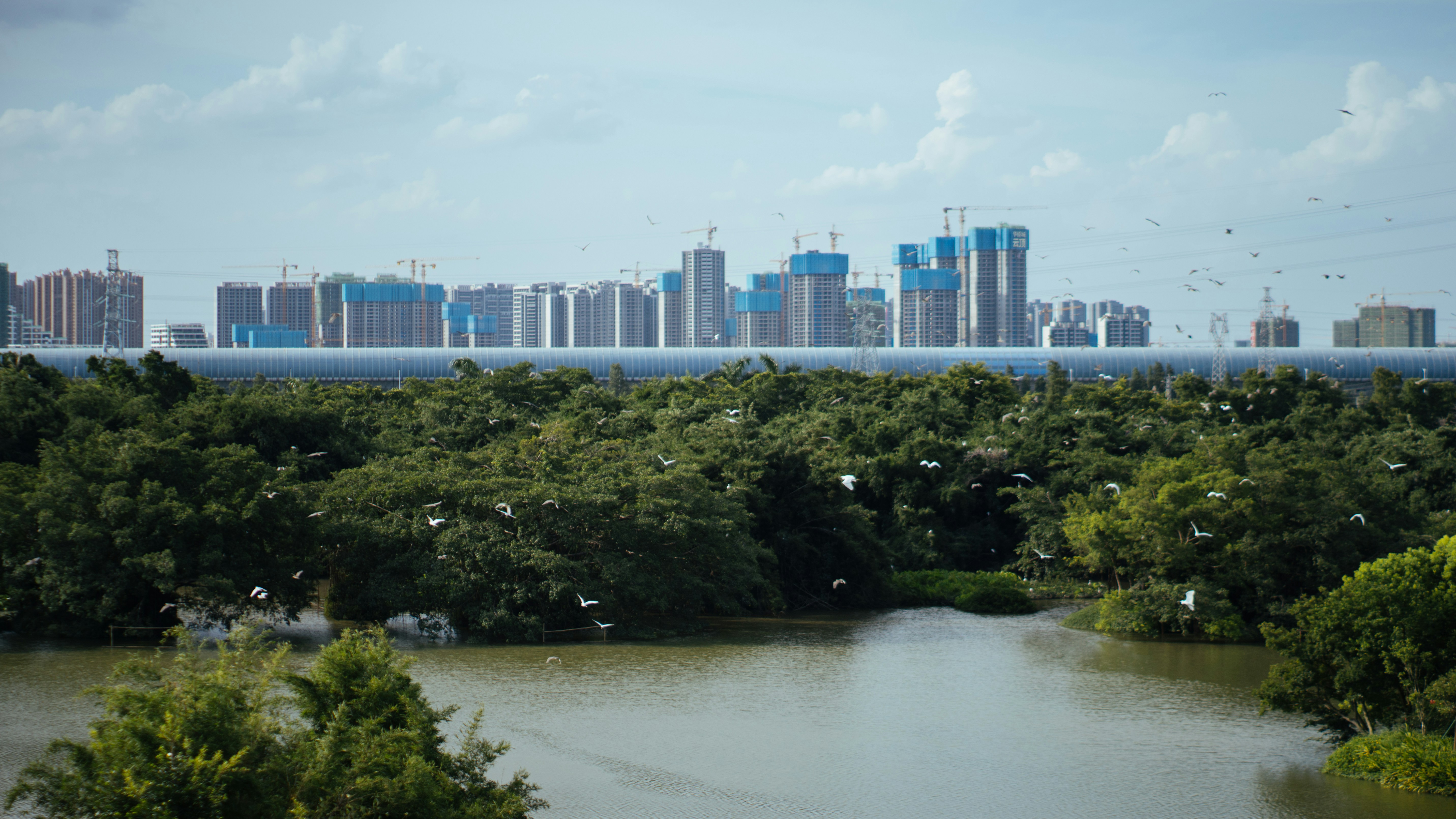 tropical city database, wallpaper, SQL in Kota Kinabalu: A Comprehensive Guide 5