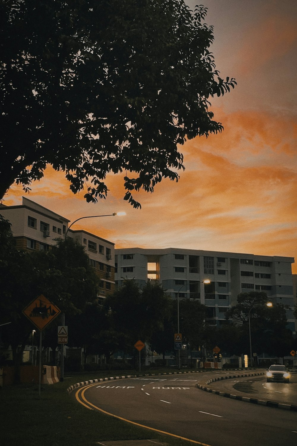 white concrete building near green trees during sunset