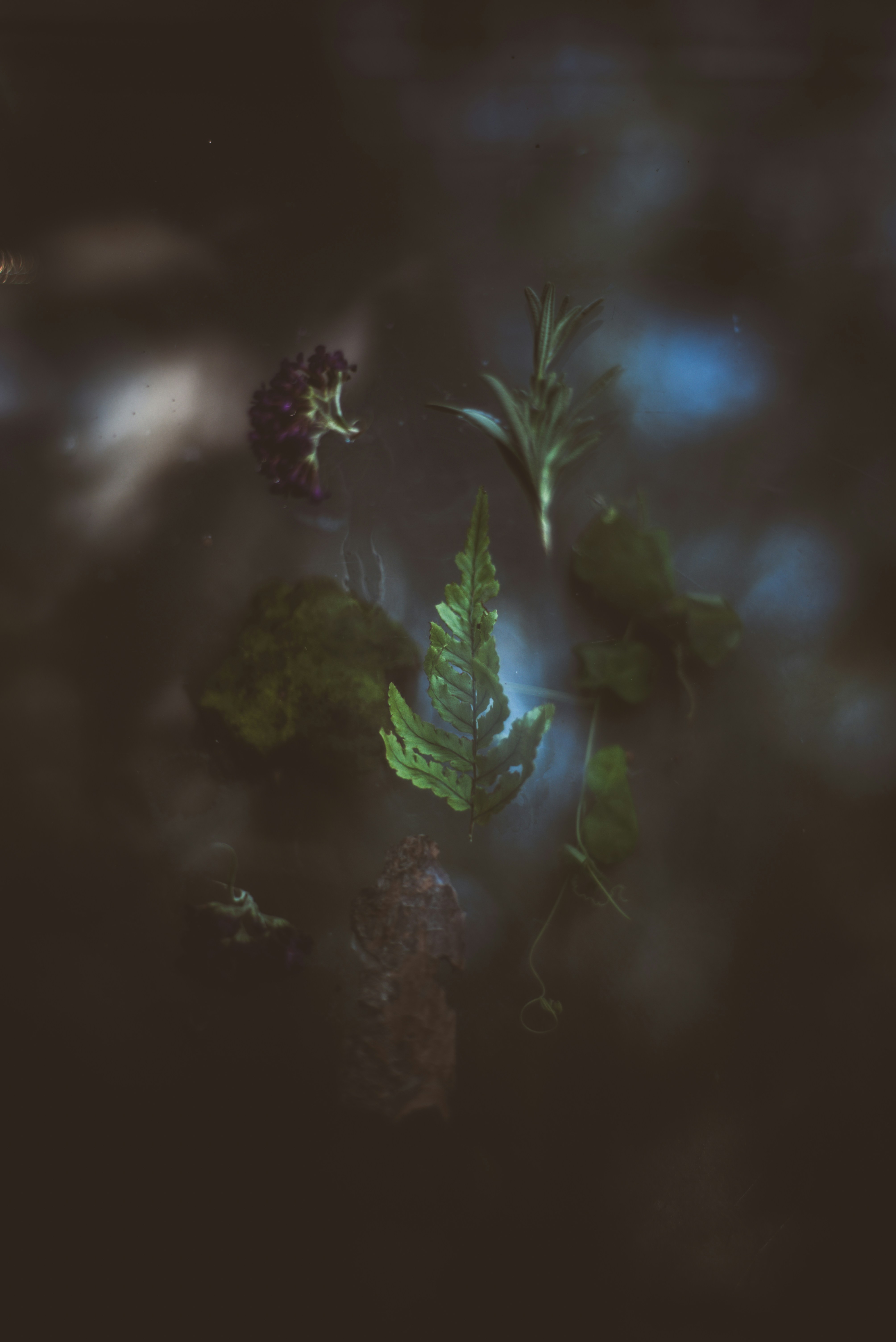 How Successful People Trick Themselves Into Working Hard