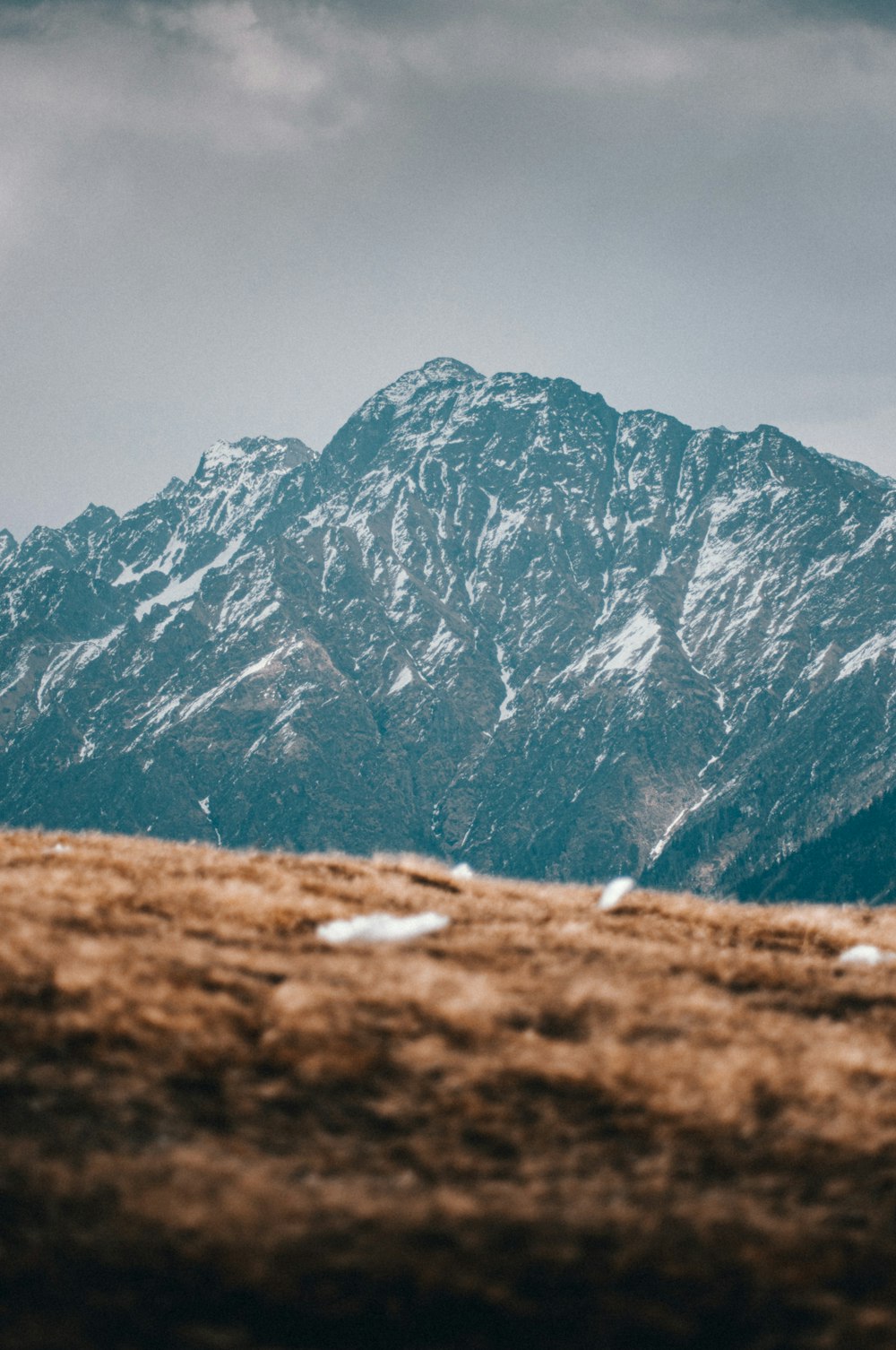 brown grass field near snow covered mountain during daytime