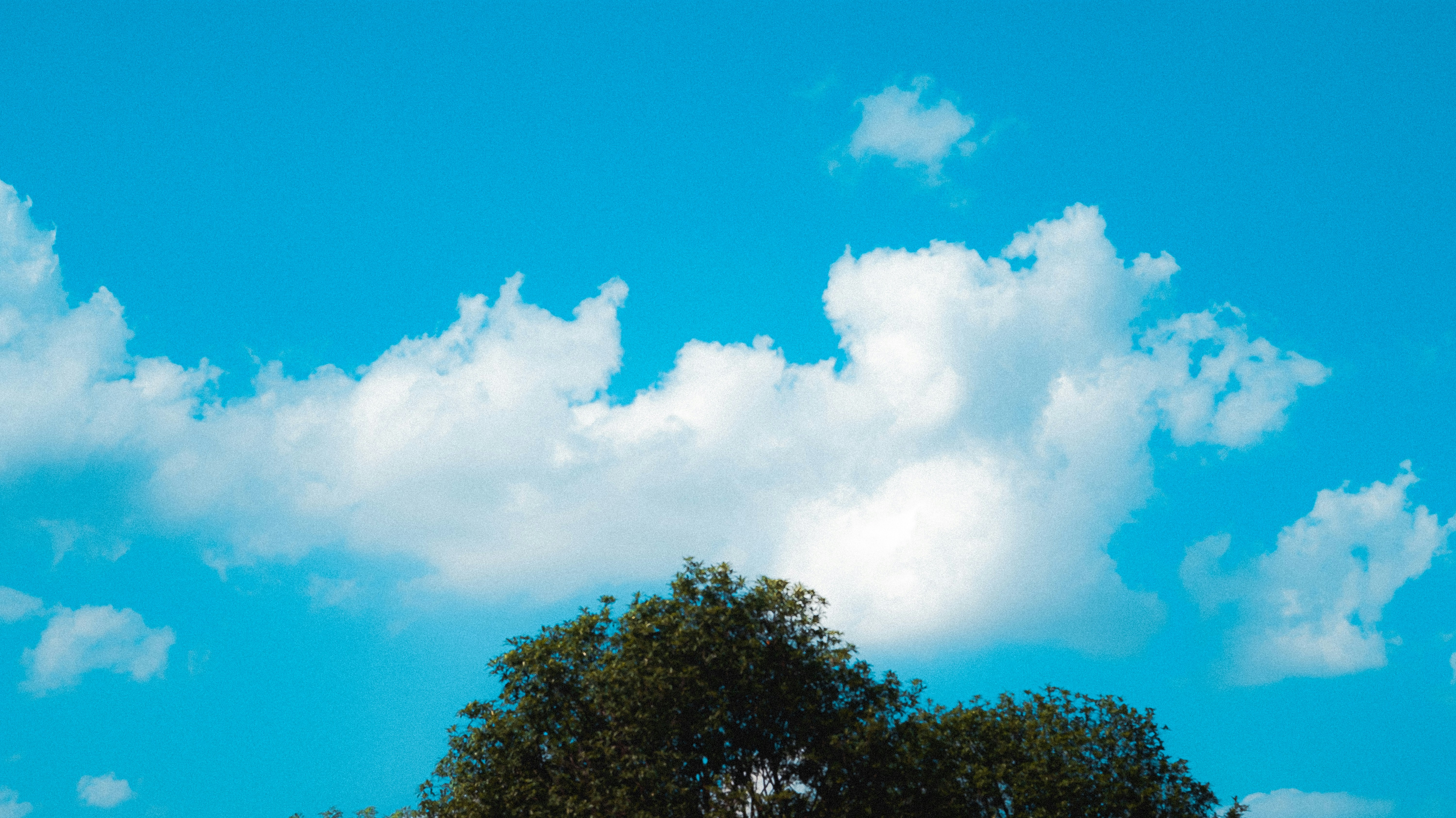 Photo by xiexianghua