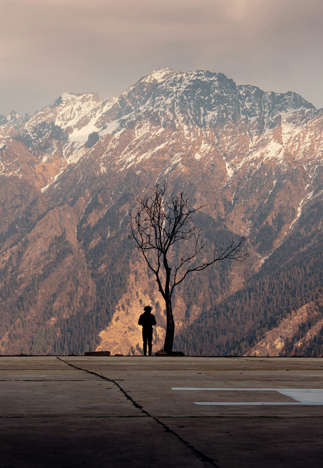 person standing on road near mountain range
