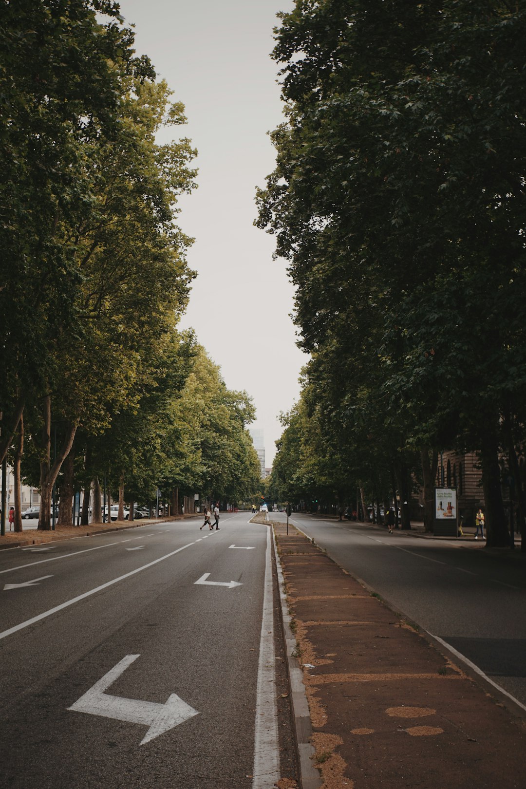 people walking on gray concrete road between green trees during daytime