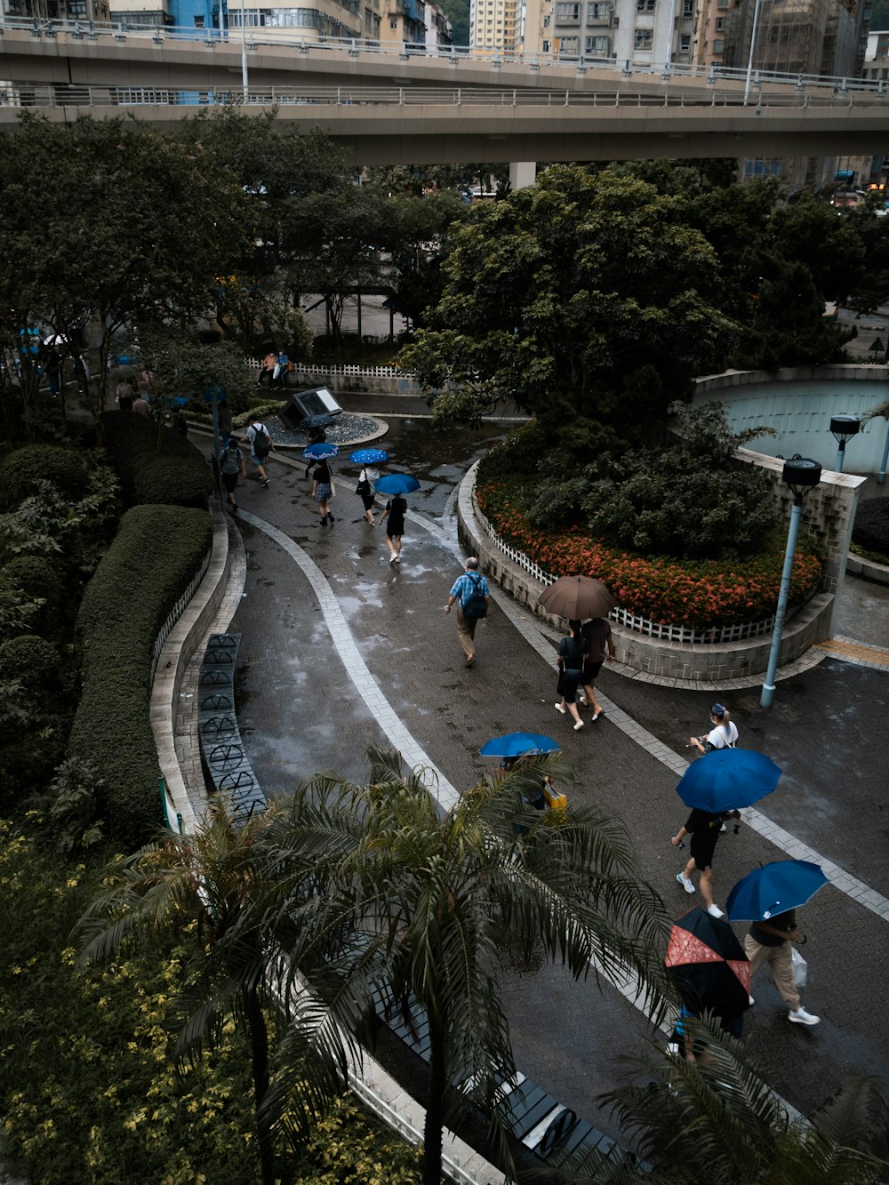 people walking on street during daytime