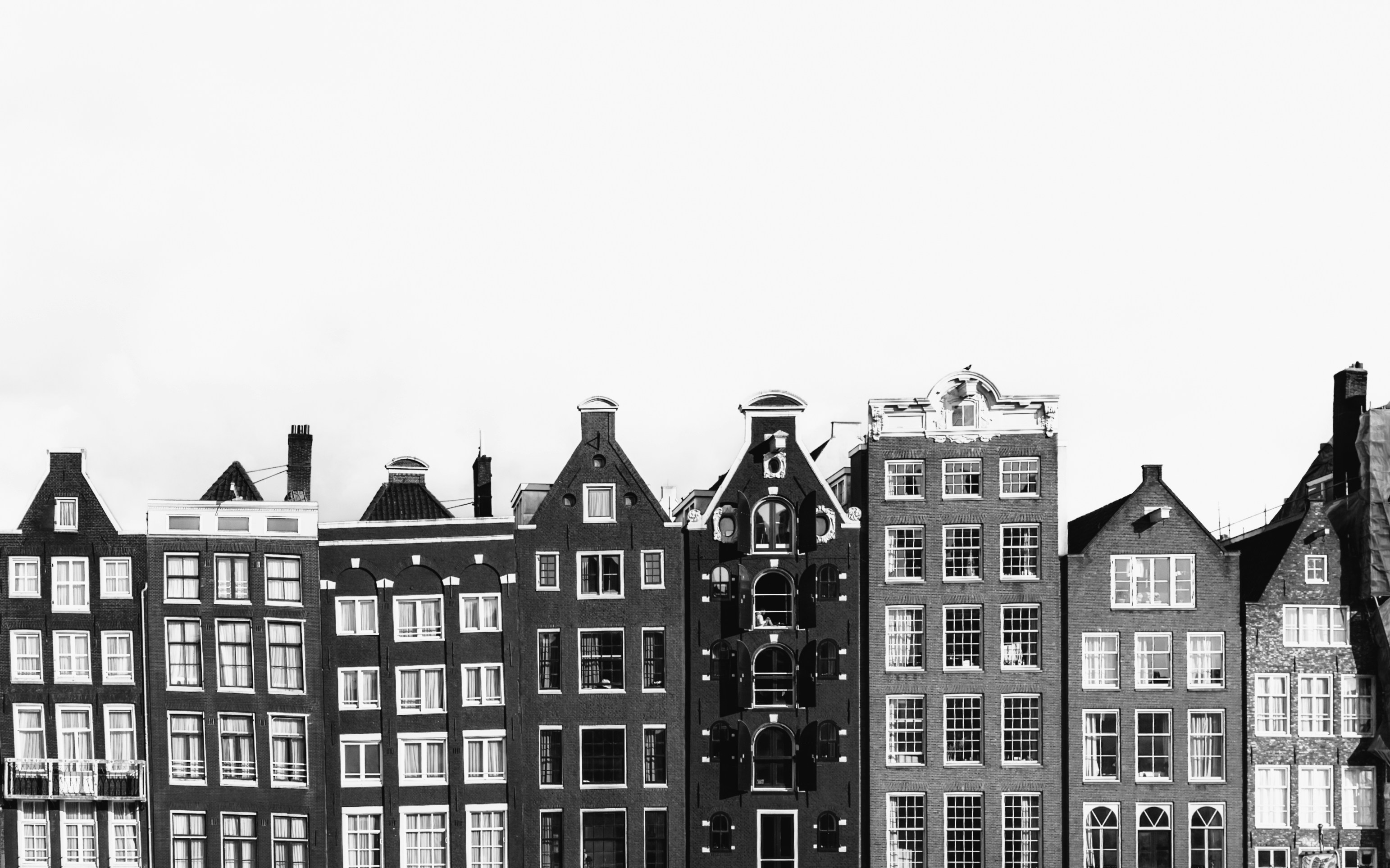 Hollanda'da bir ofis ortamında çalışan modern mühendisler ve Avrupa'da kariyer fırsatlarını temsil eden iş arama stratejileri görseli.