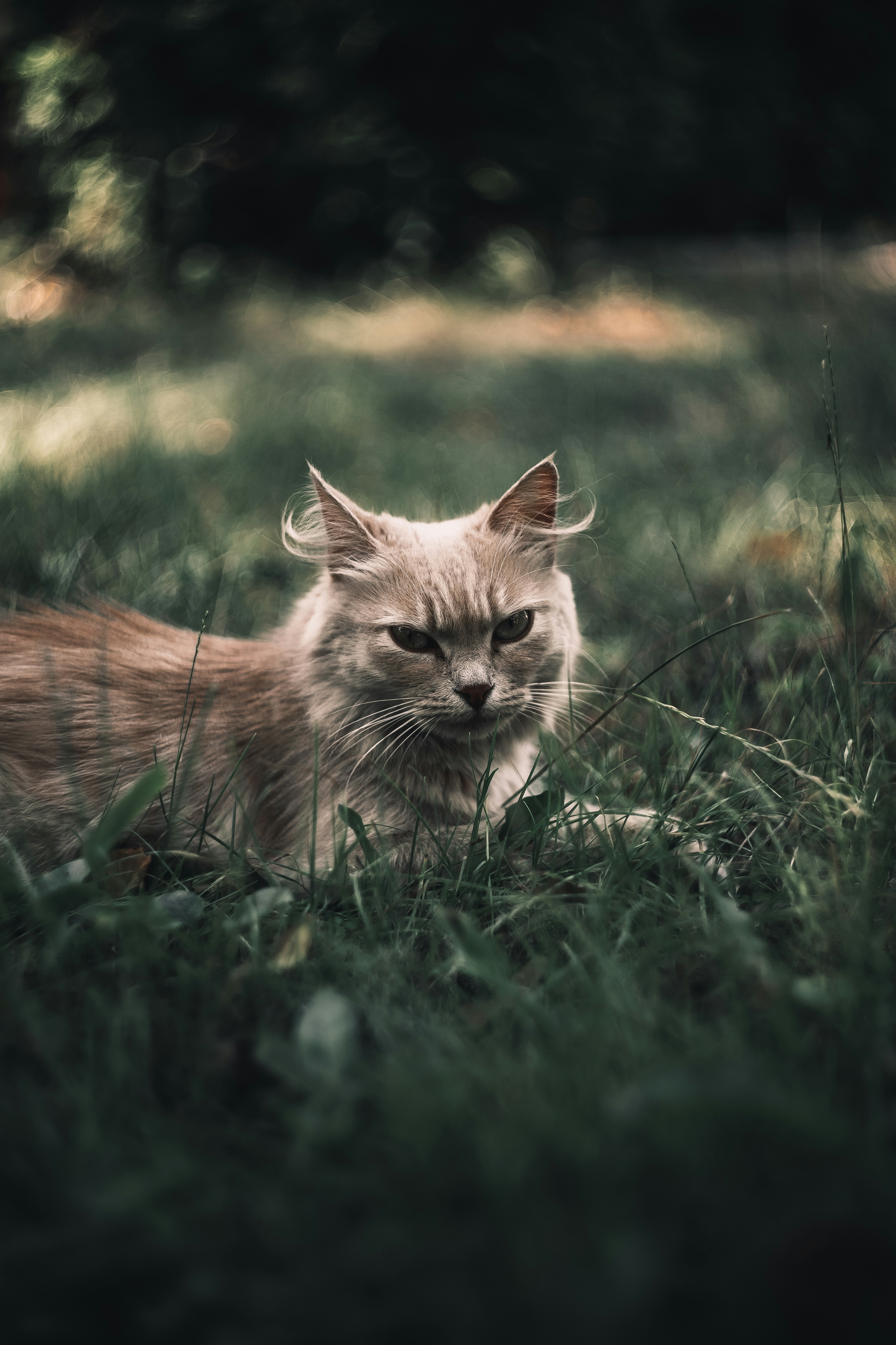 Photo by maksym_tymchyk