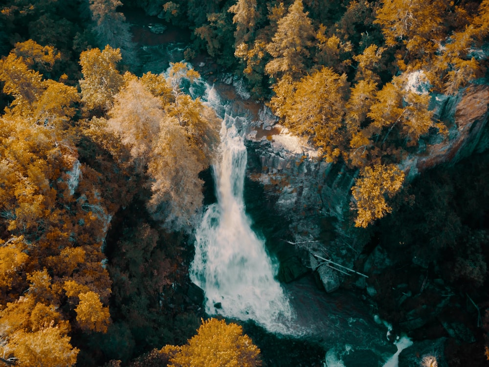 waterfalls in the middle of forest during daytime