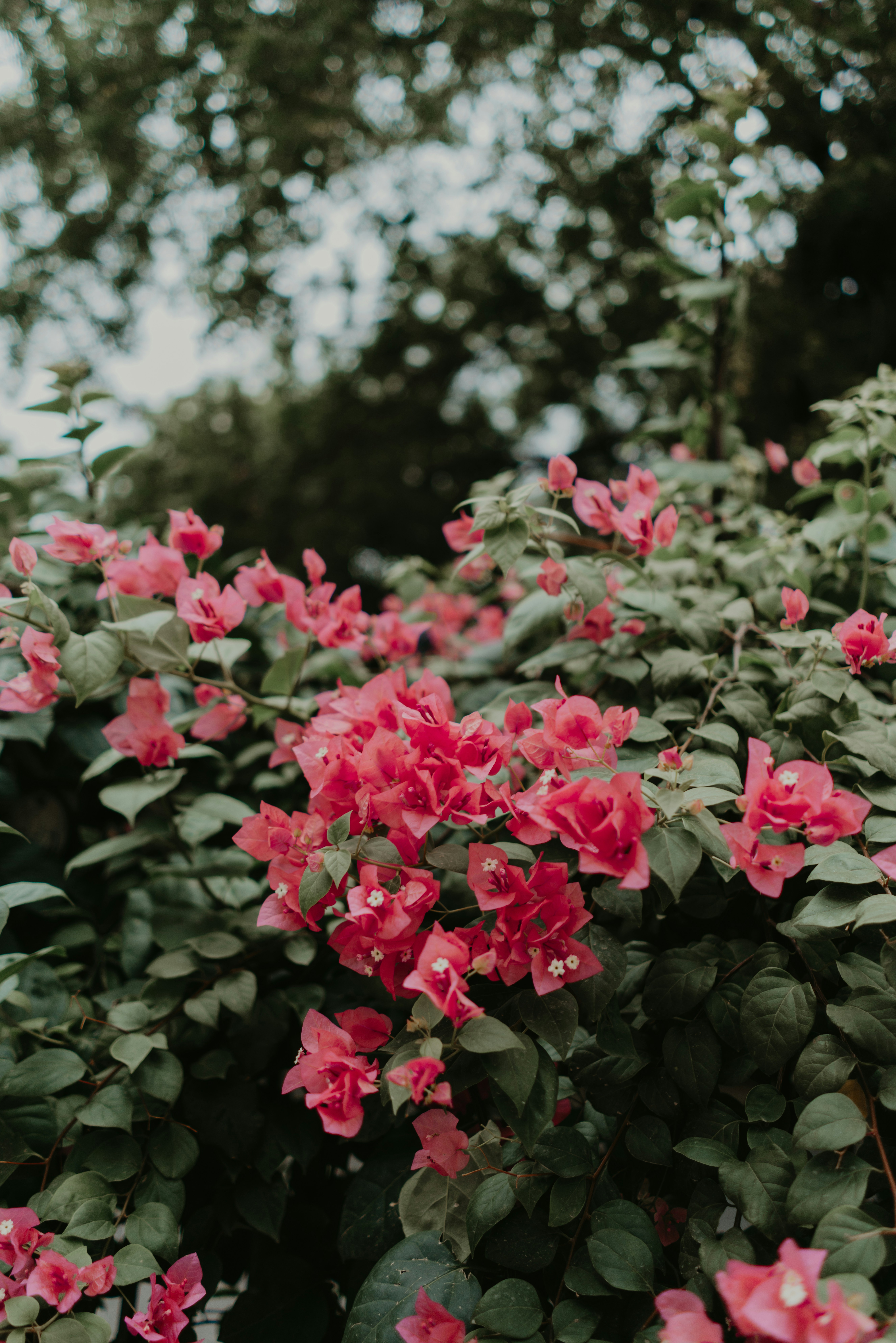 Photo by viditgoswami