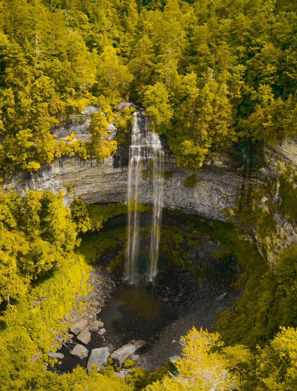 water falls in the middle of green trees