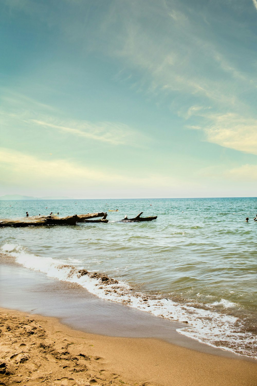 white and black boat on sea during daytime