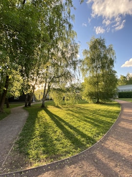 Sunlit outdoor scene of actors rehearsing in a park.