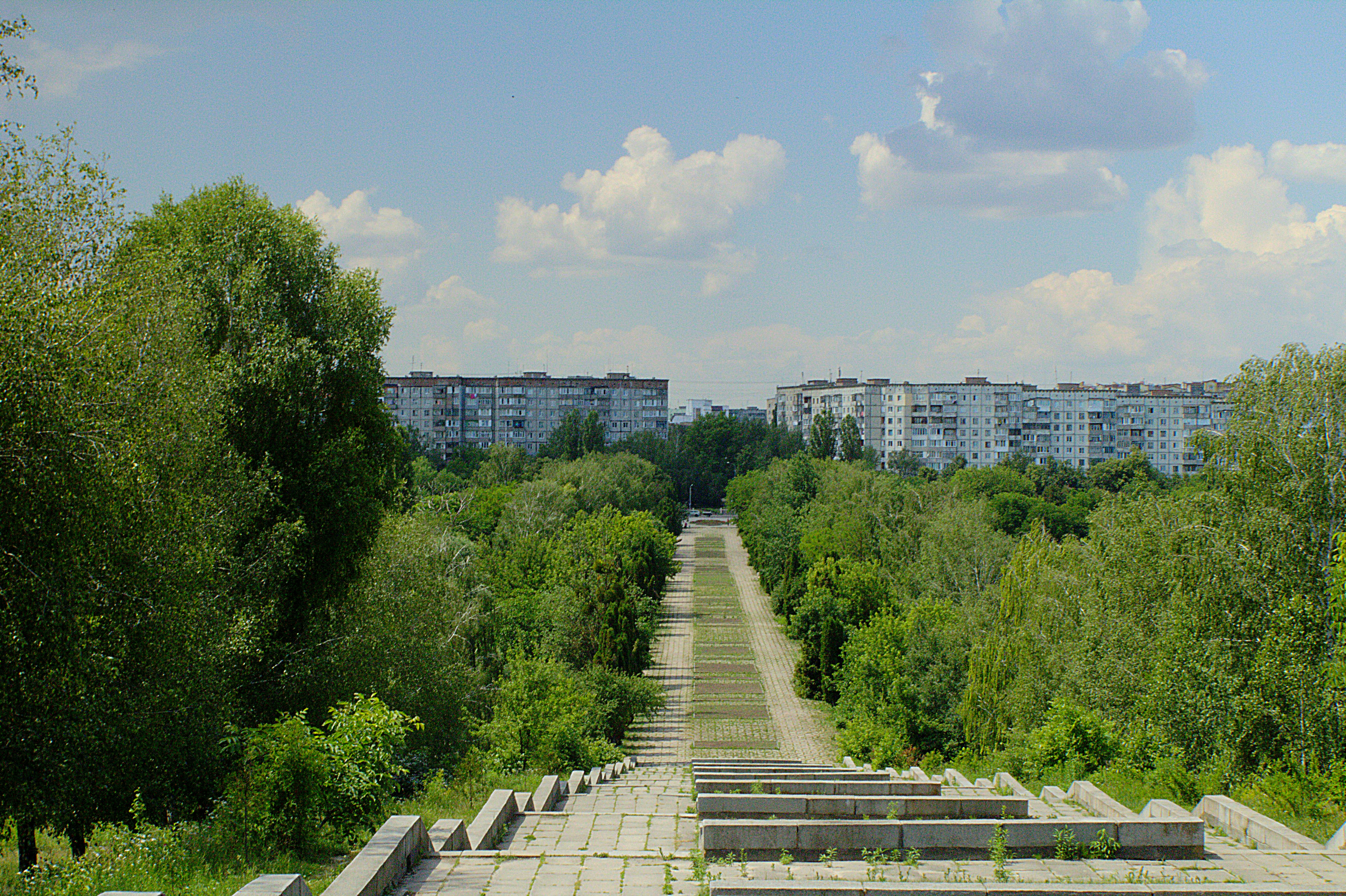 green trees near concrete building during daytime
