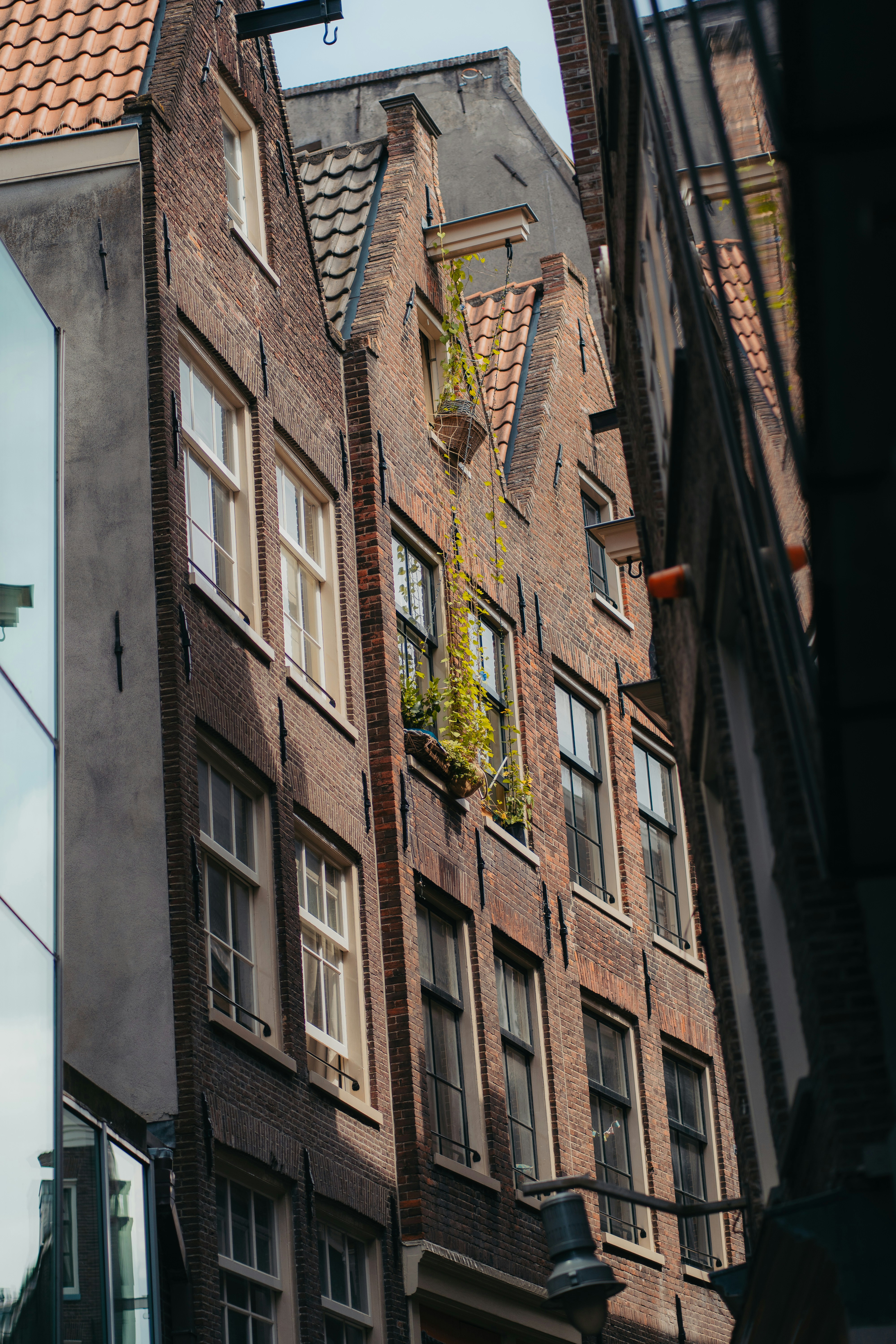 Photo by real_jansen