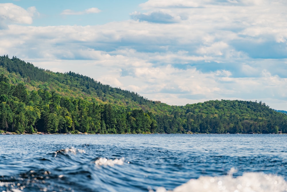 green trees beside body of water during daytime