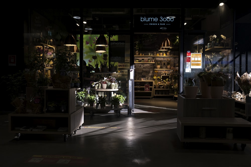 black and white store front during nighttime