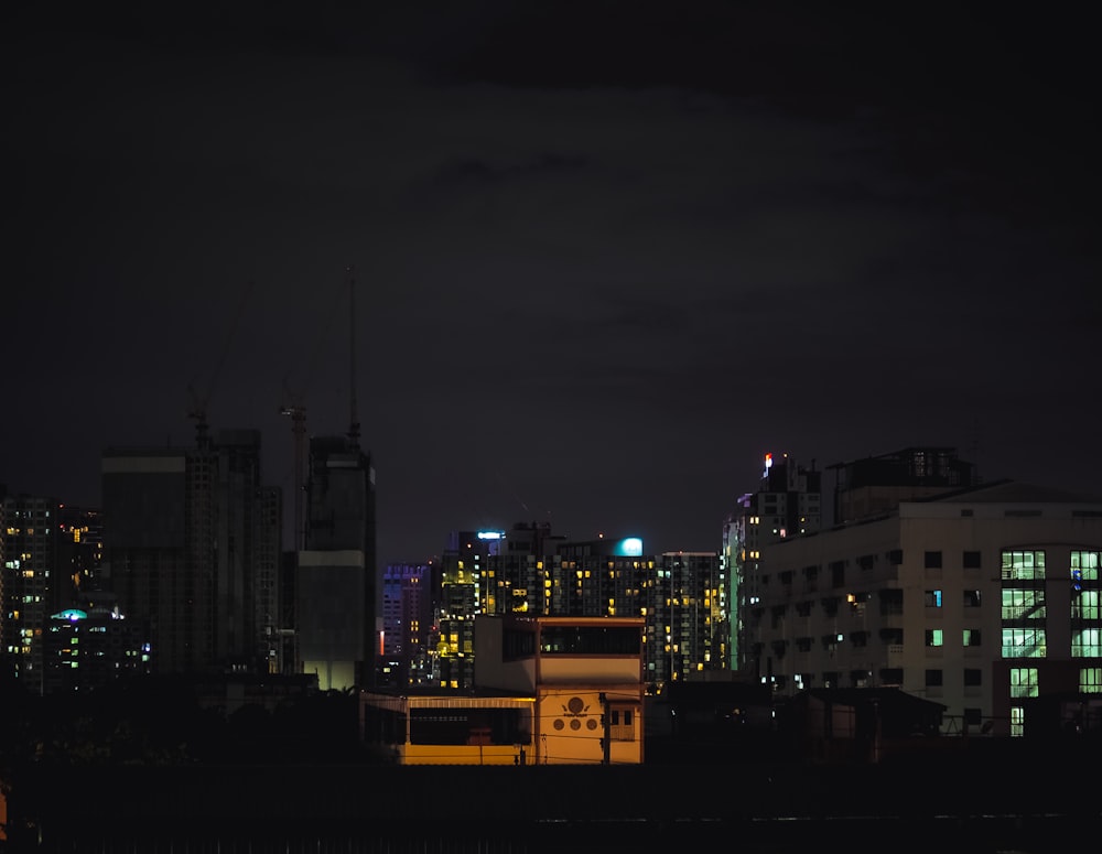 city with high rise buildings during night time