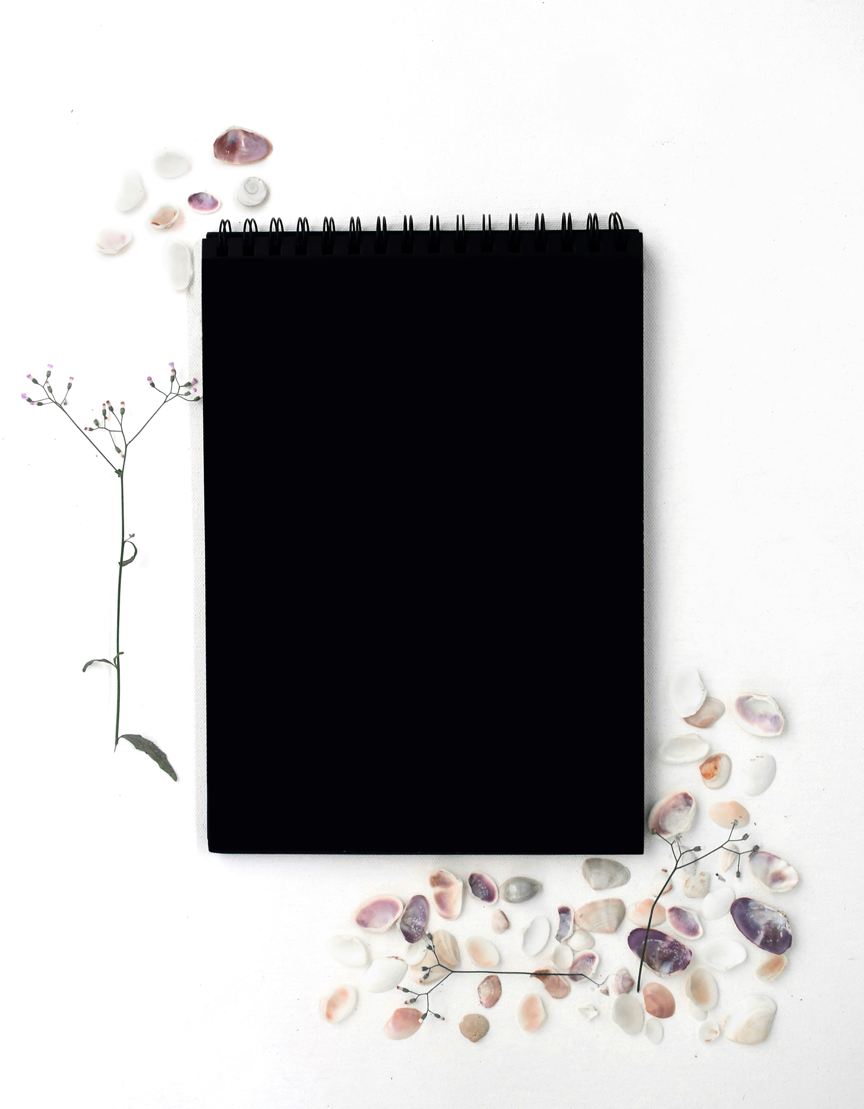 white and purple floral frame