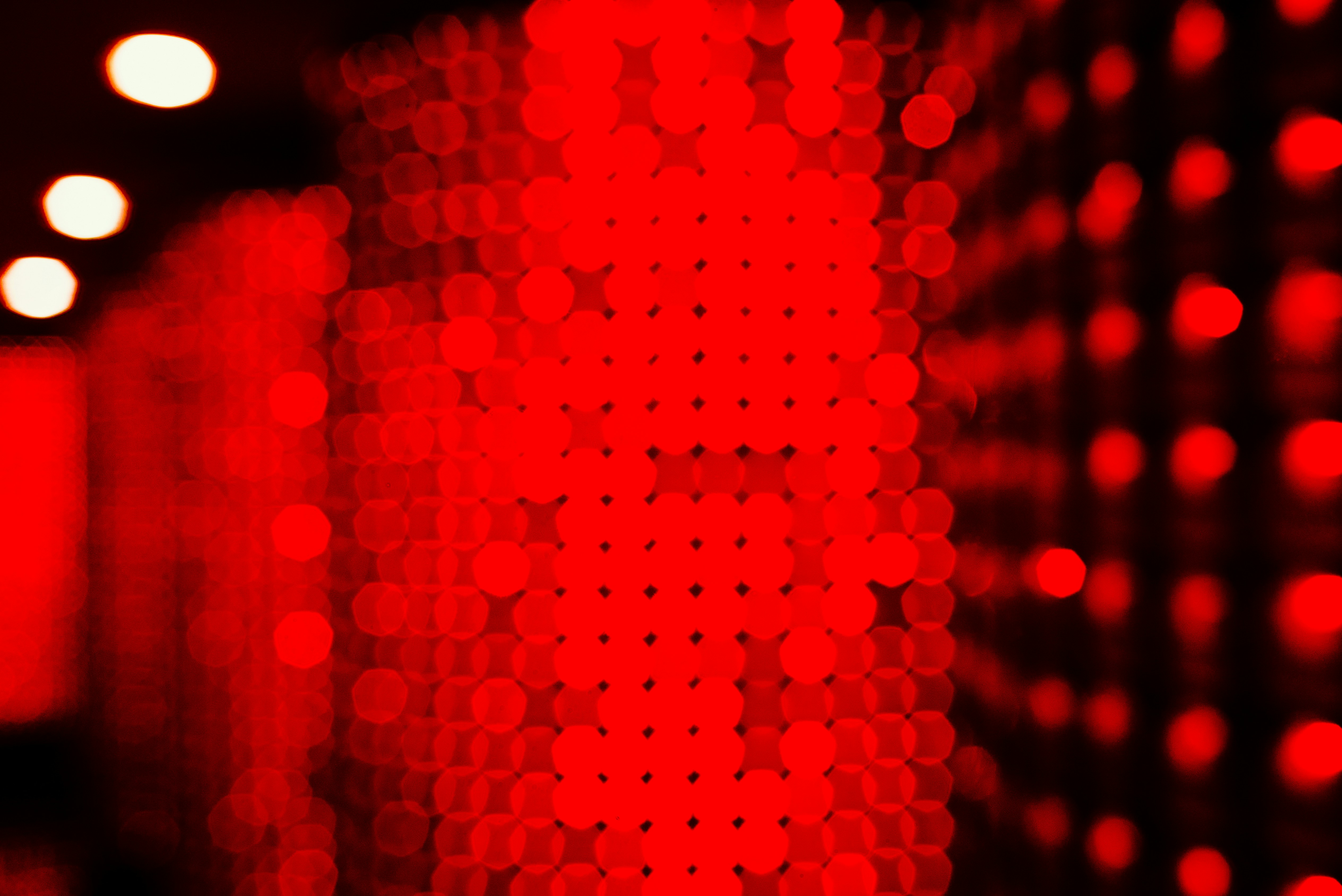 Kilo Shiba Inu header image