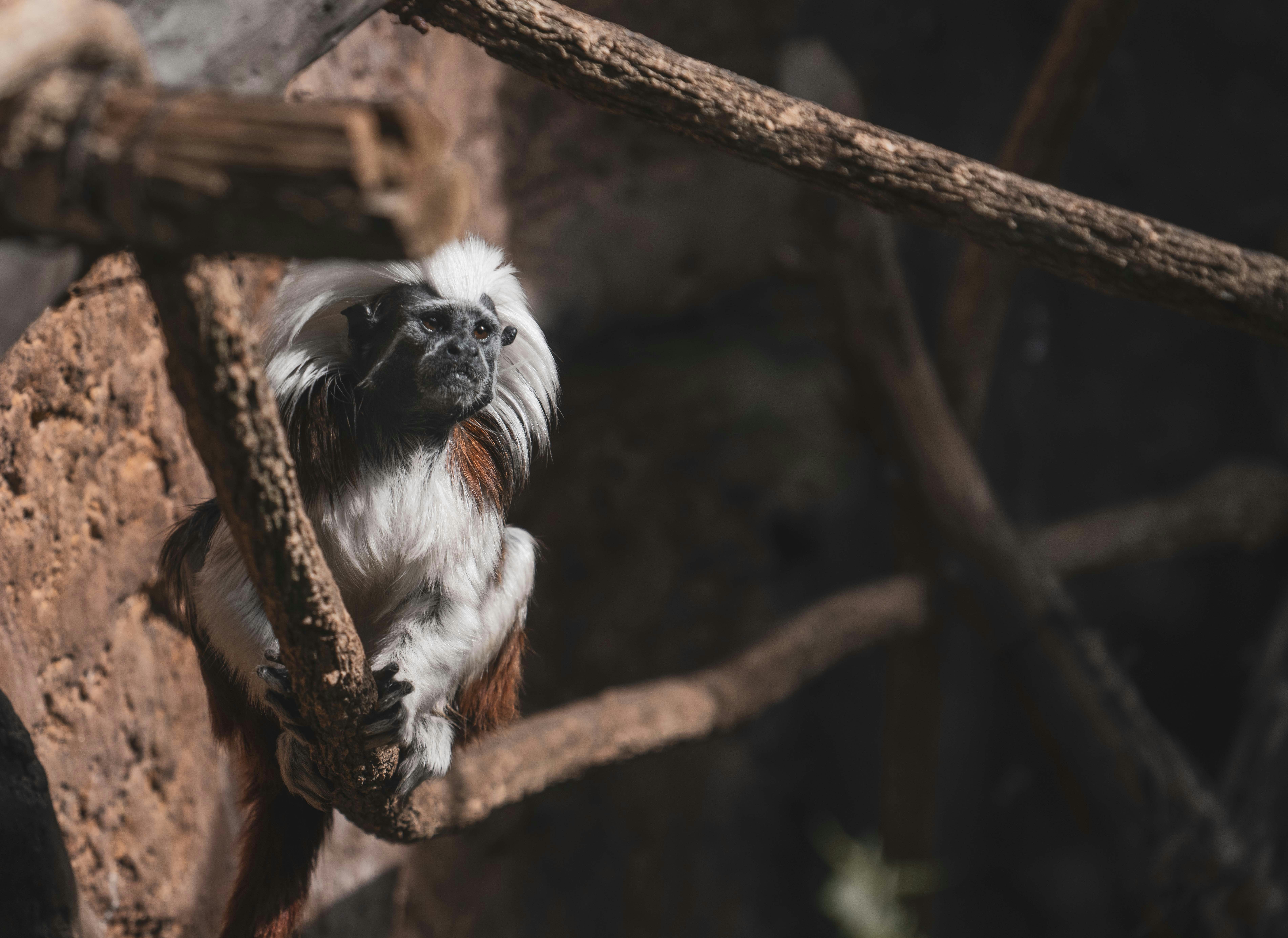 Photo by annastampfli