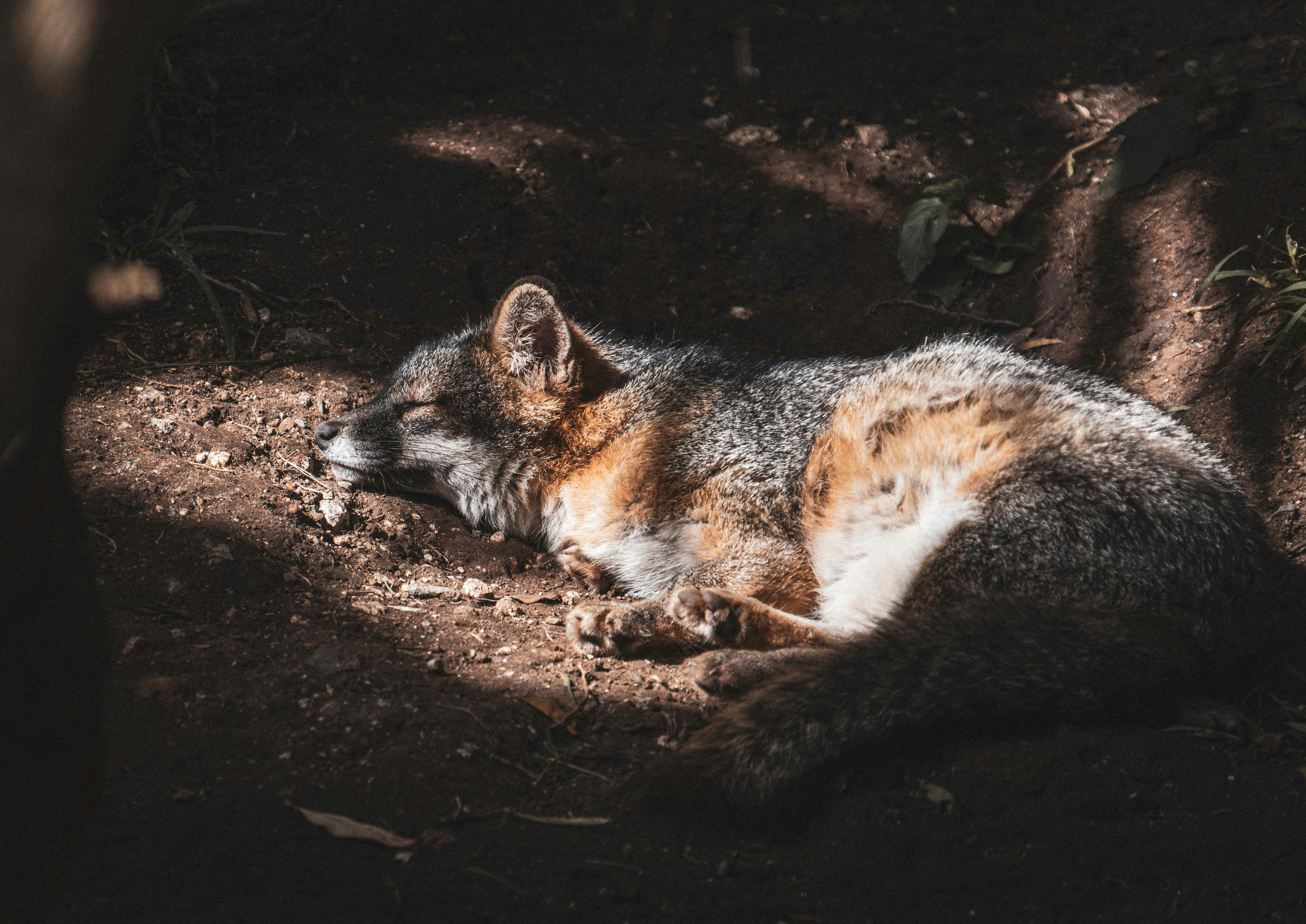 Photo by annastampfli