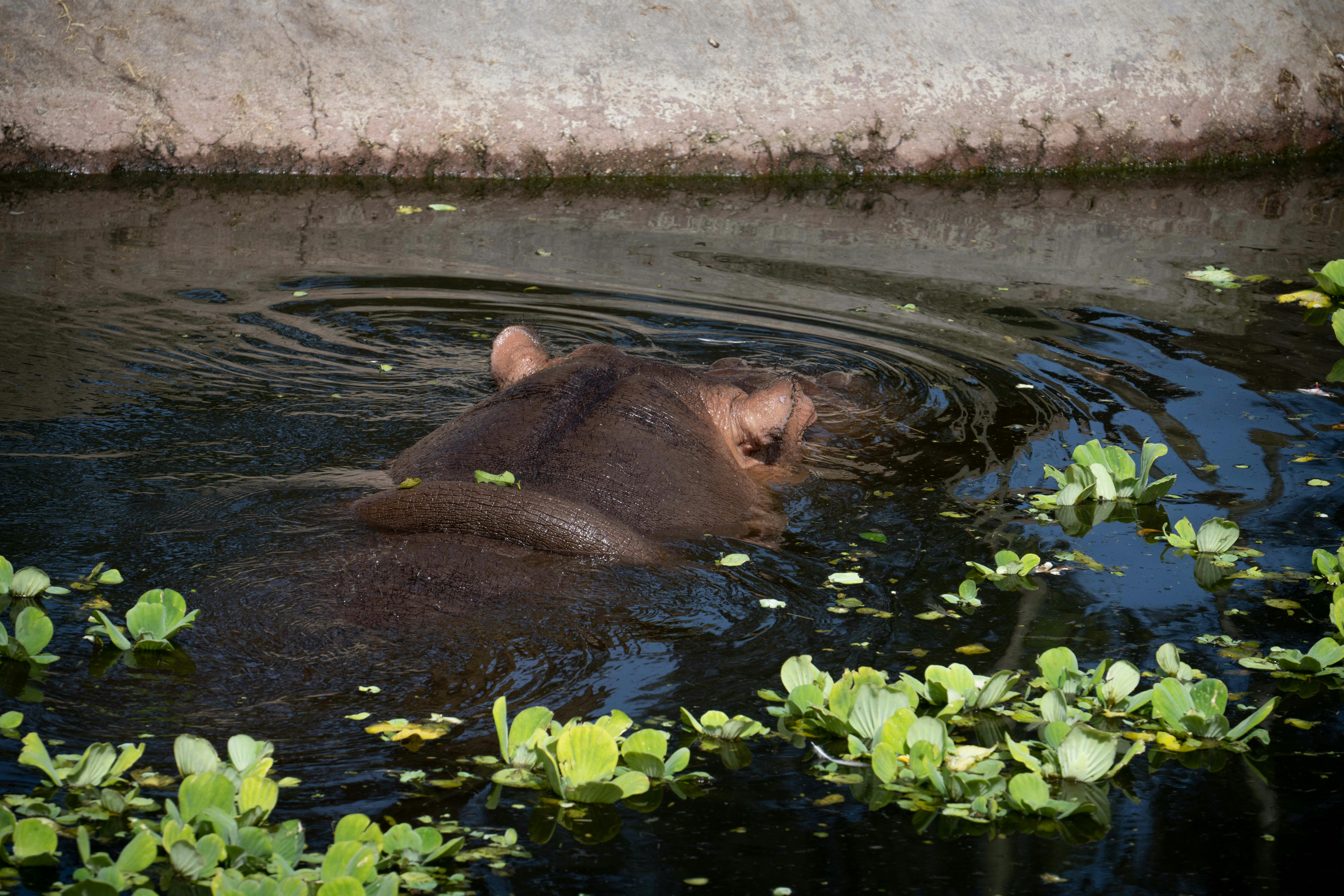 Photo by annastampfli