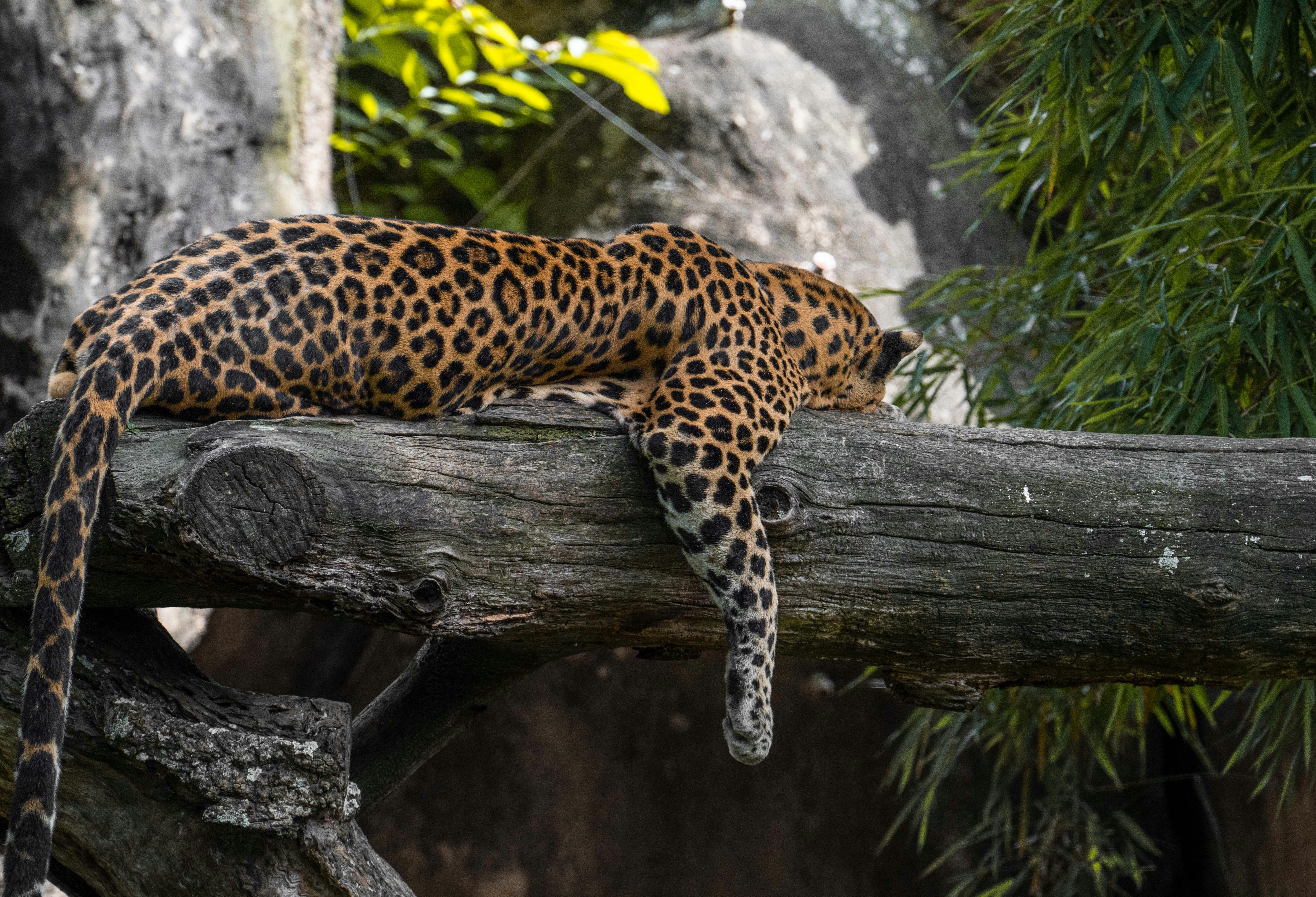 Photo by annastampfli