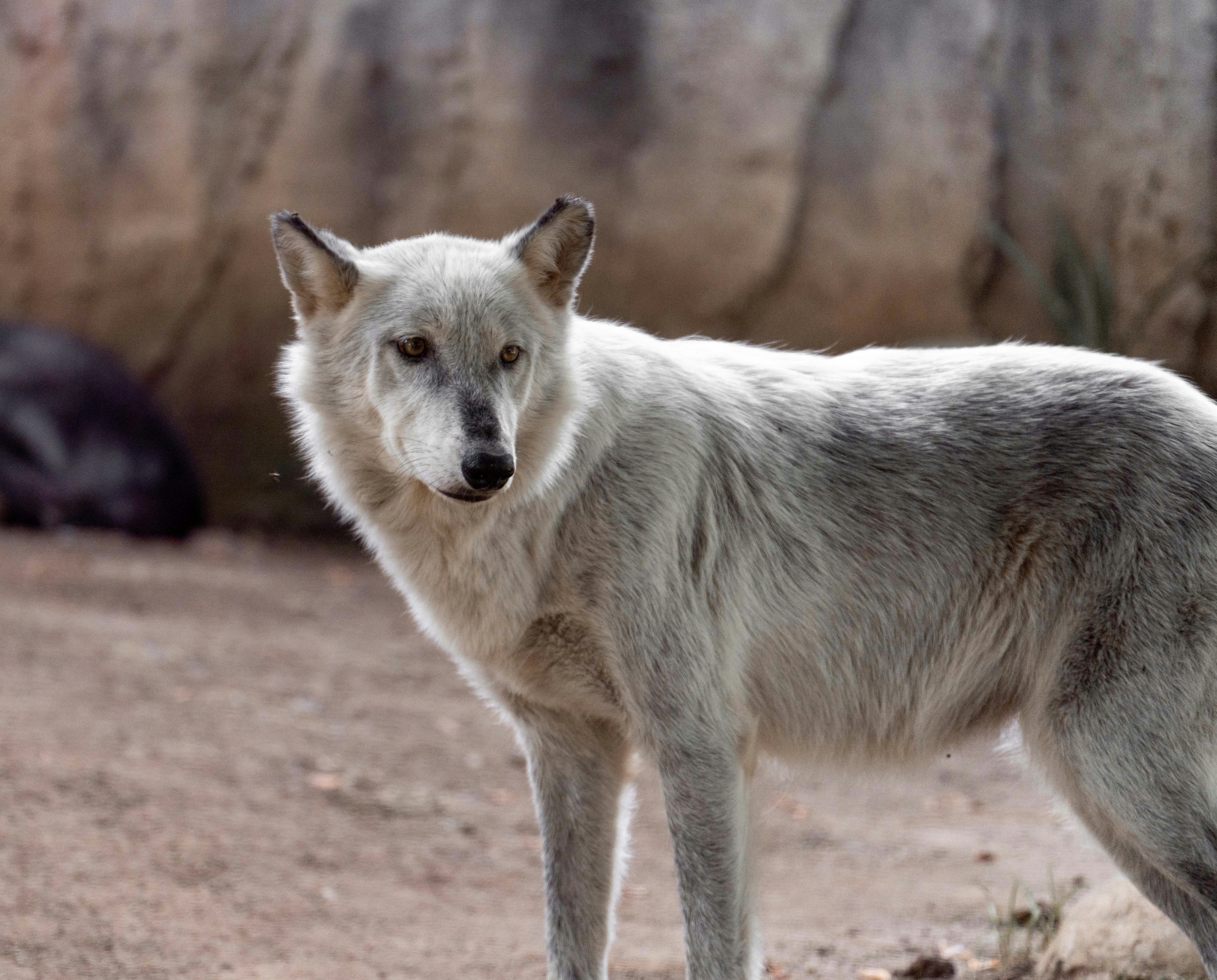 Photo by annastampfli