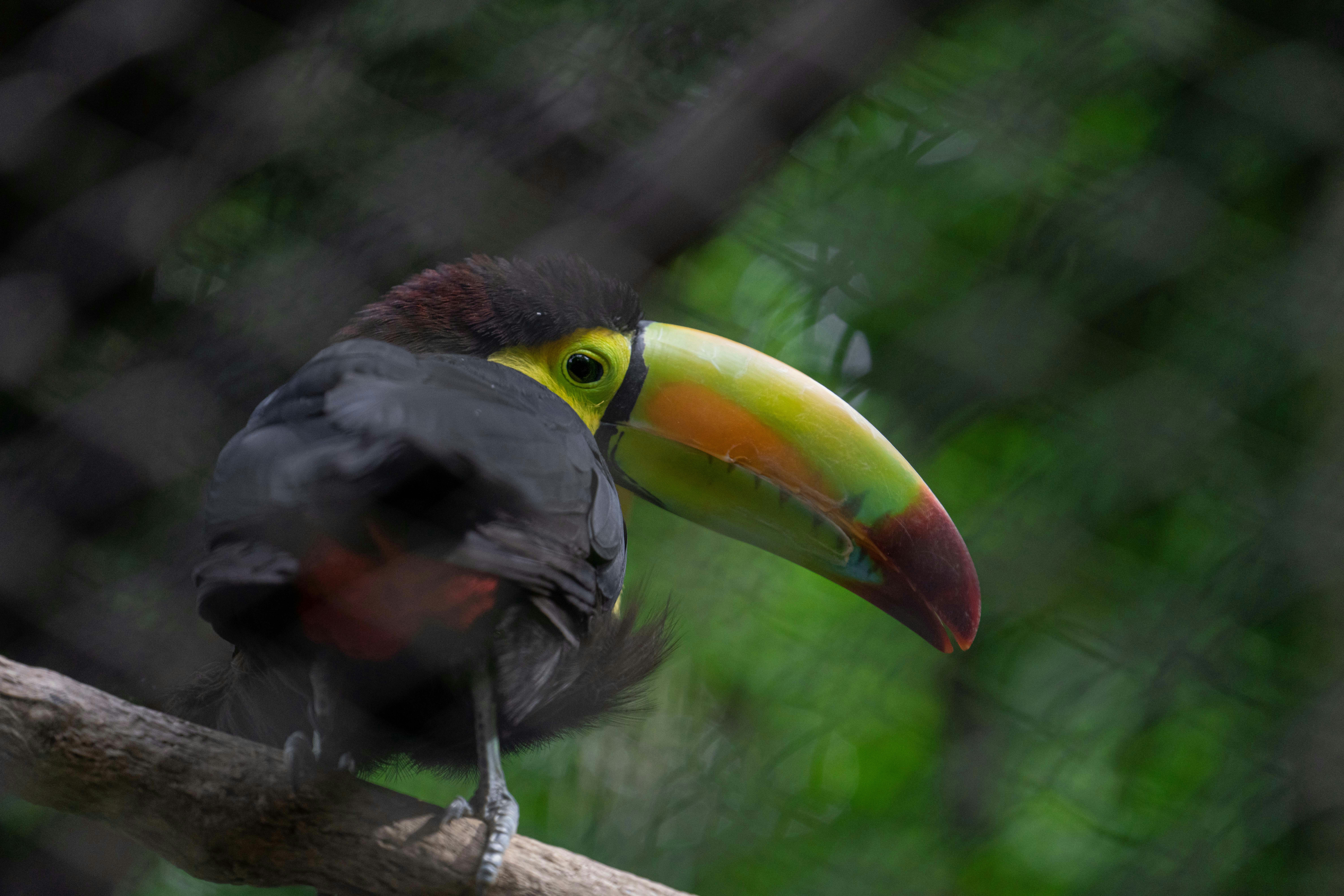 Photo by annastampfli