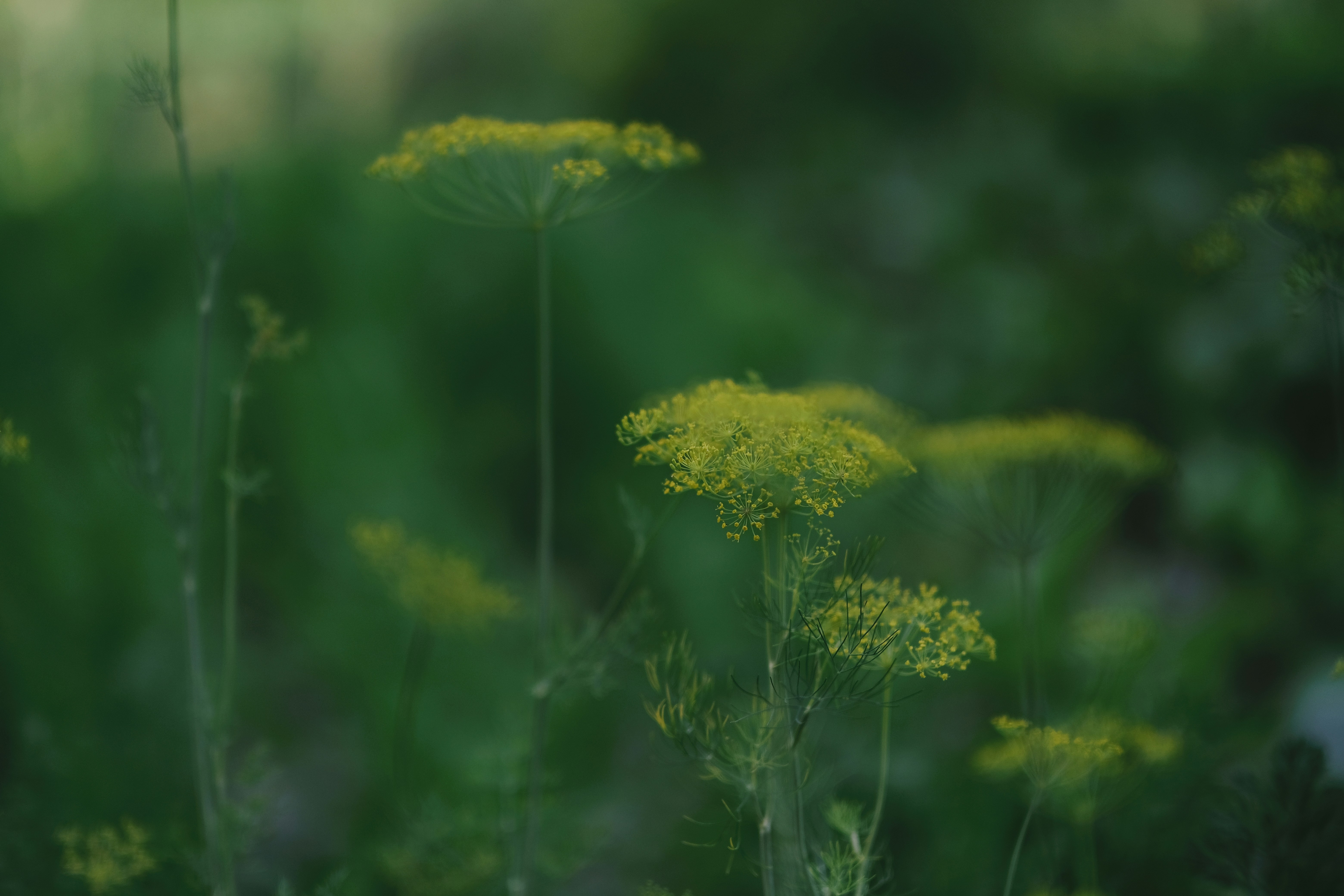 Photo by egorkomarov