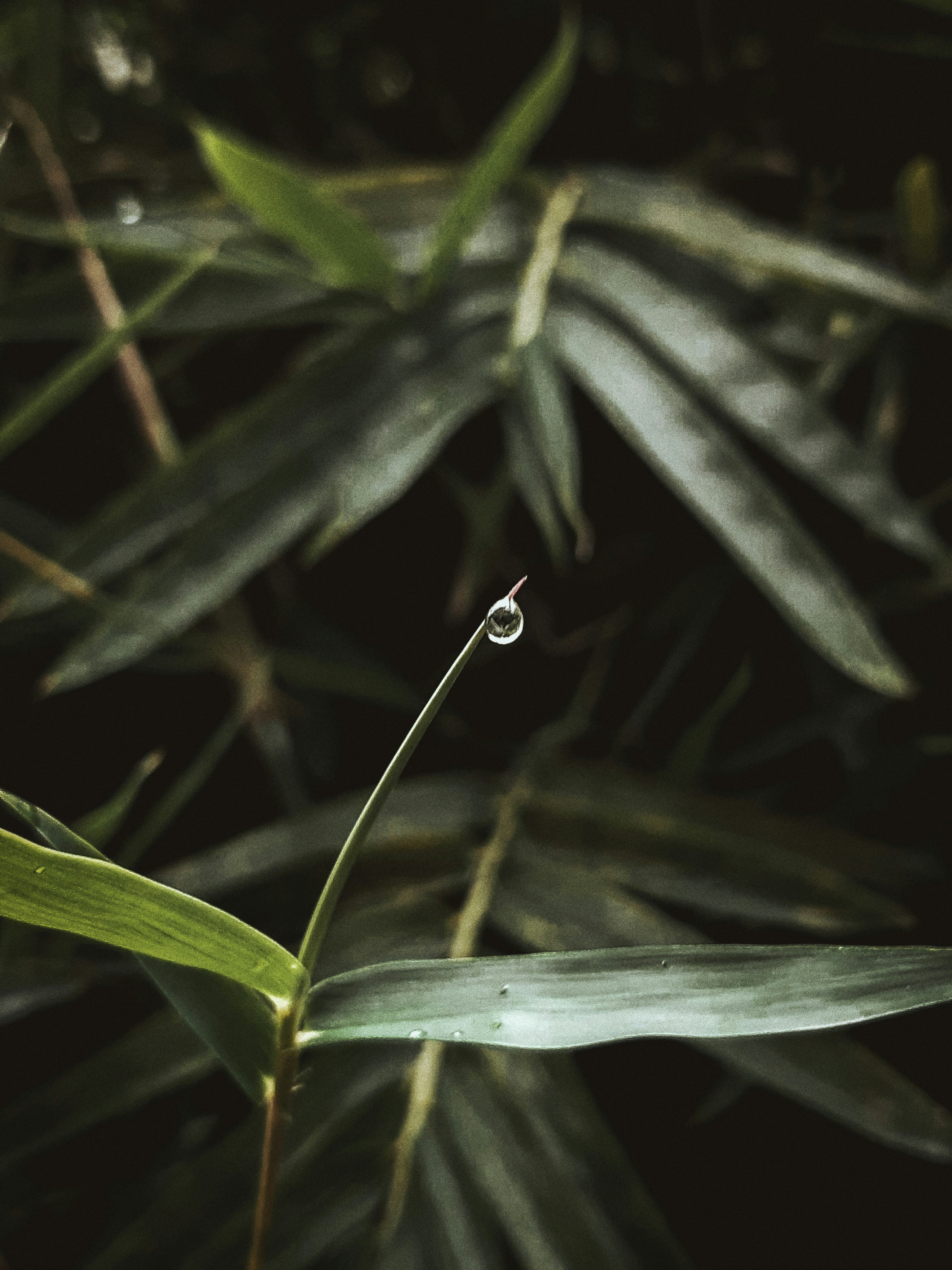 Photo by leonitayuliana