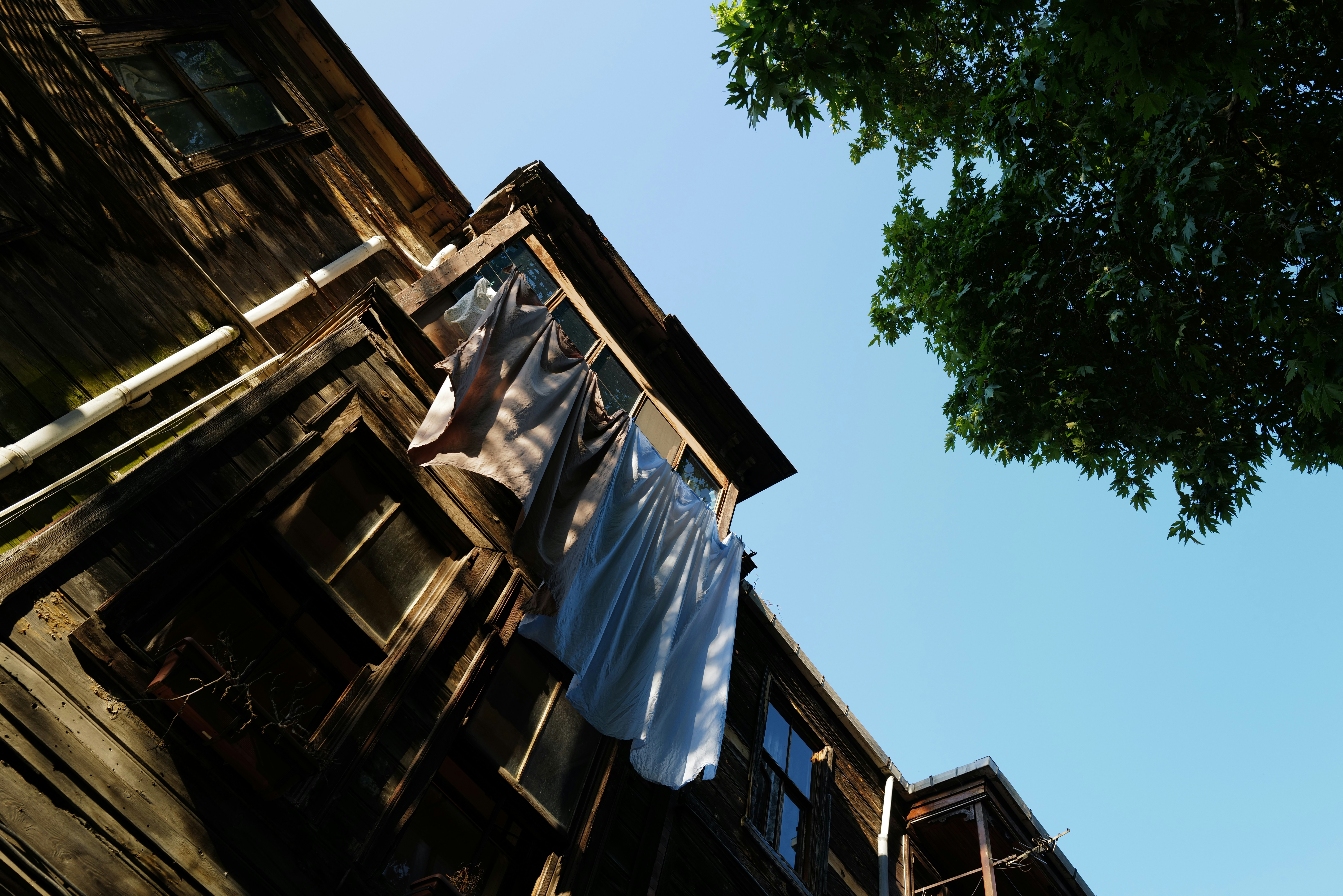 brown wooden house near green tree during daytime