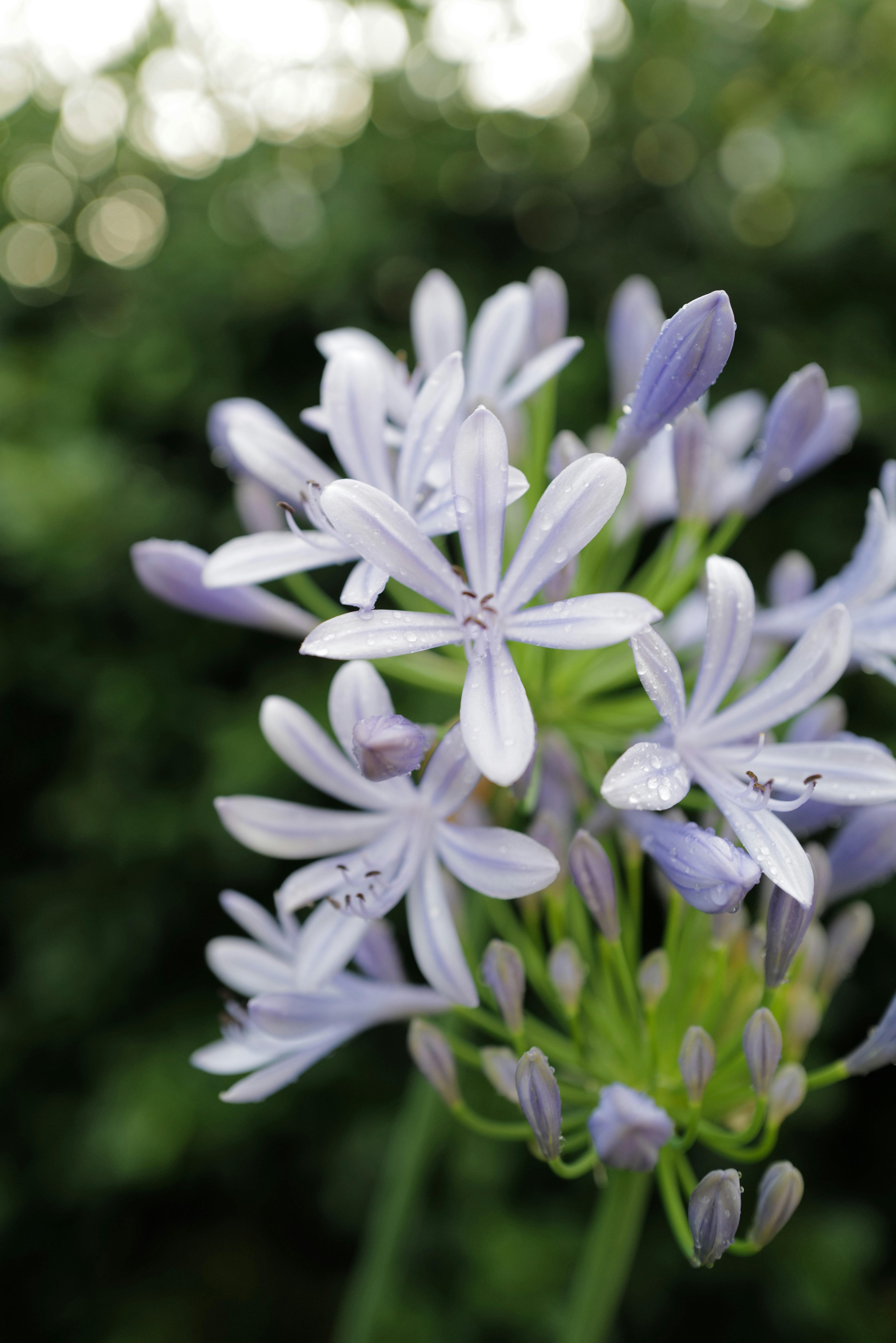 Photo by humakabakci