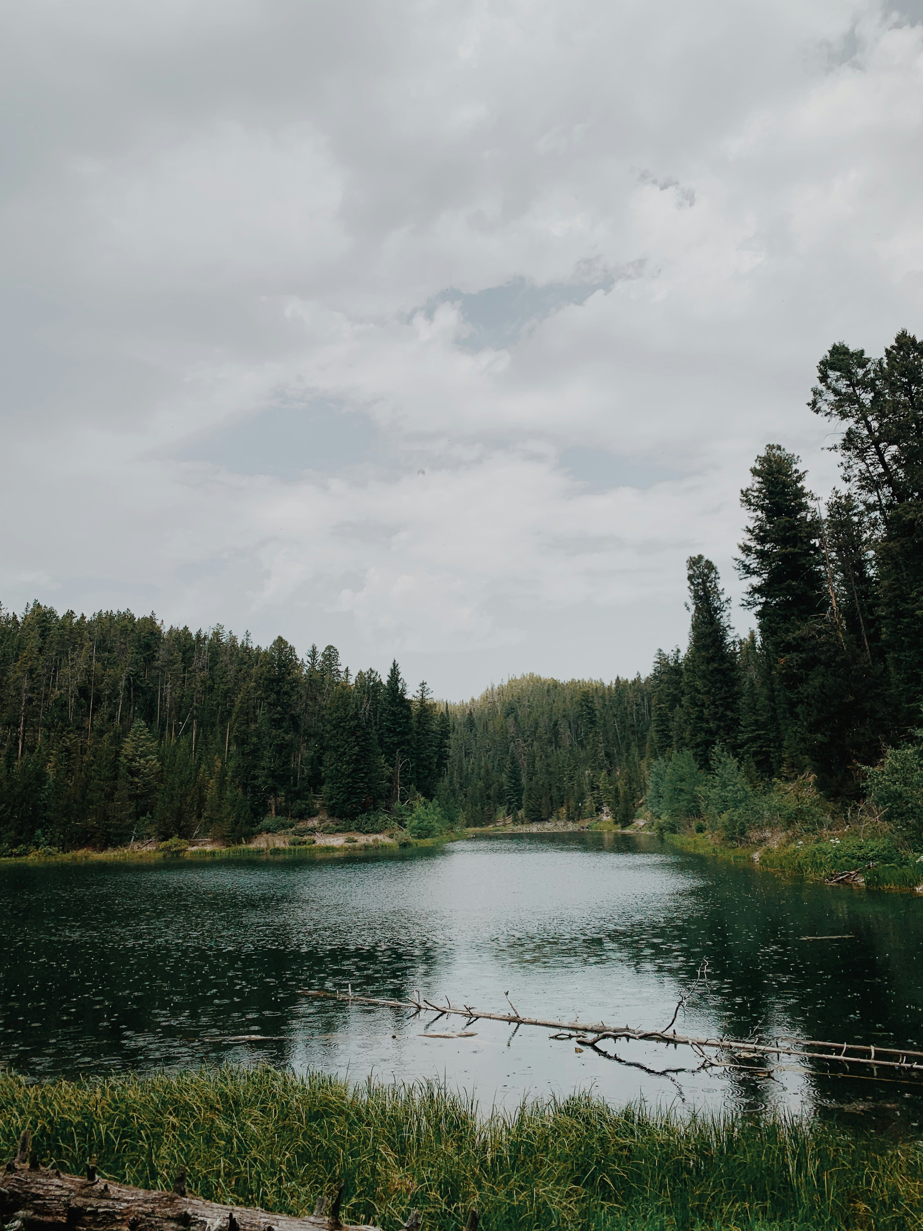 Photo by brendencampana