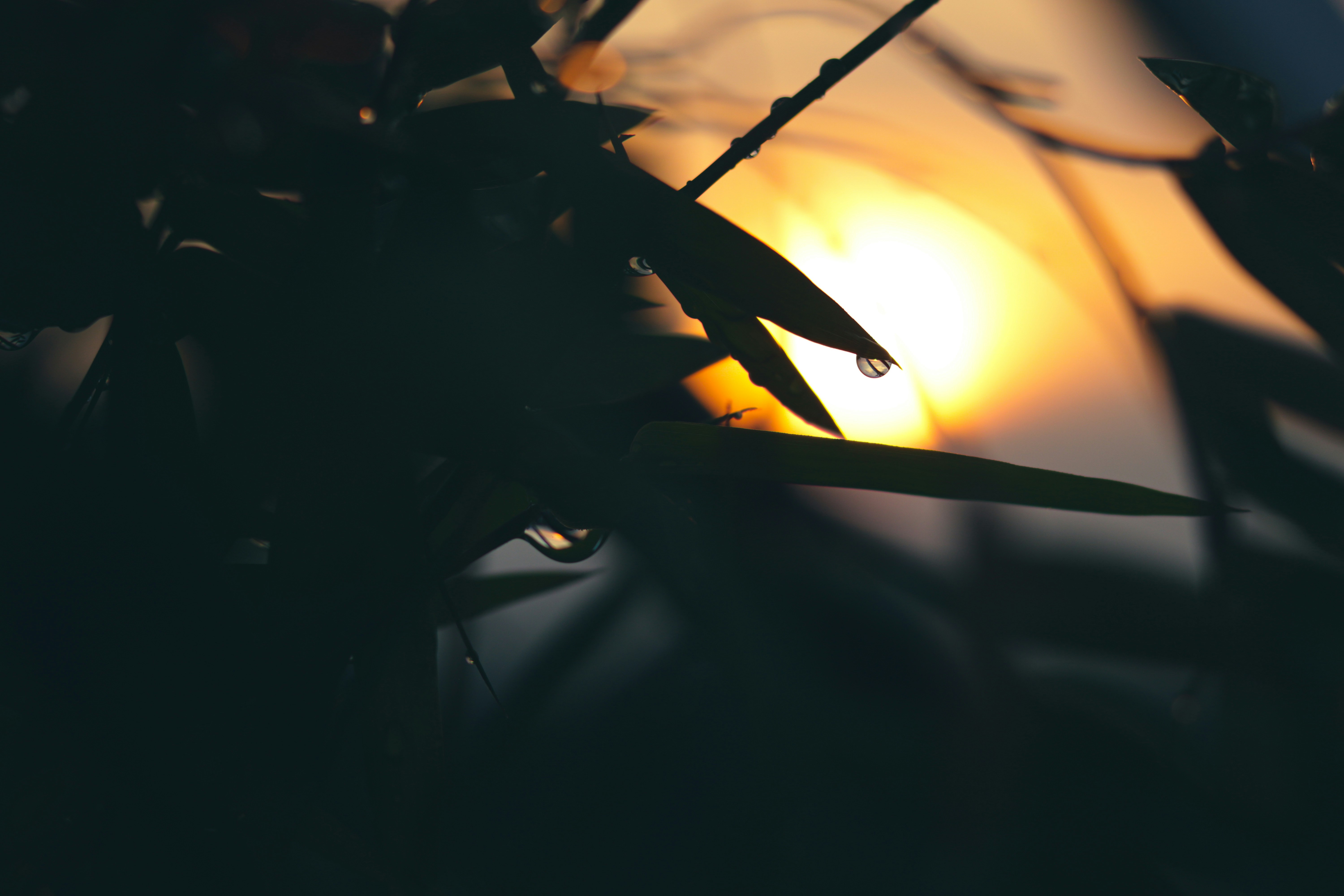 Photo by clicking_machine