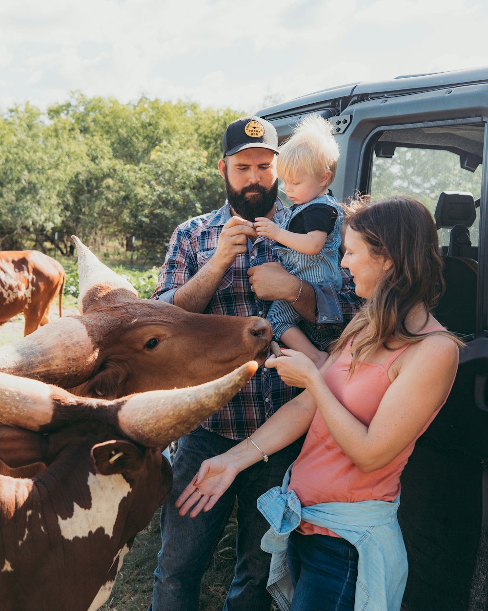 woman in blue sleeveless dress holding brown cow