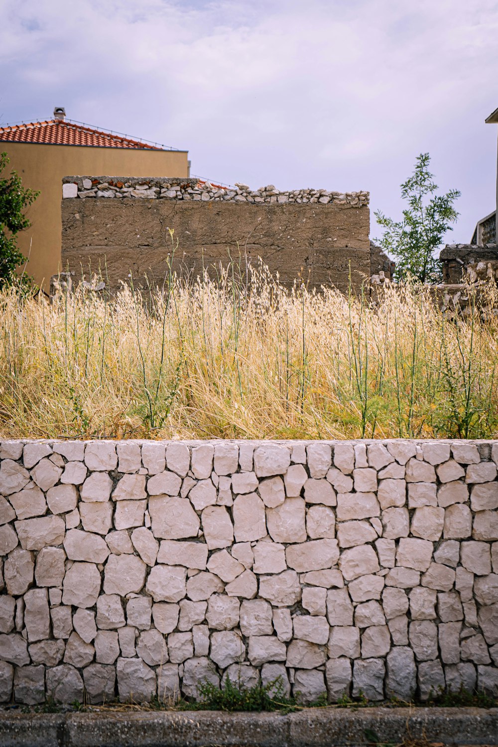 green grass beside brown brick wall