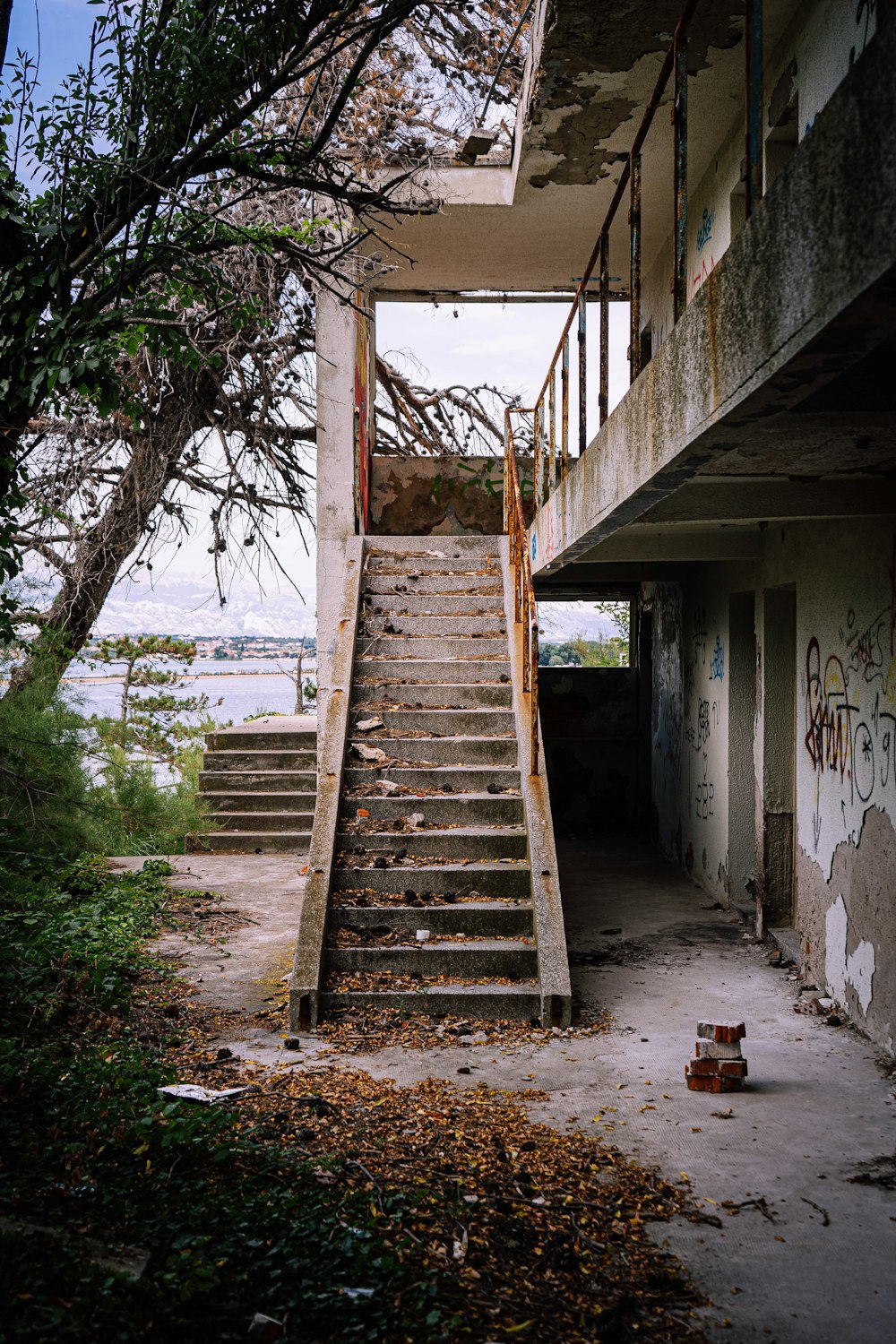 brown wooden ladder on white concrete wall near green trees during daytime