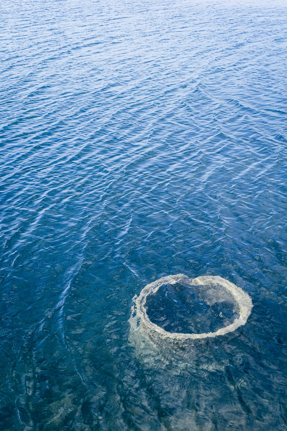 De l’eau dans un plan d’eau