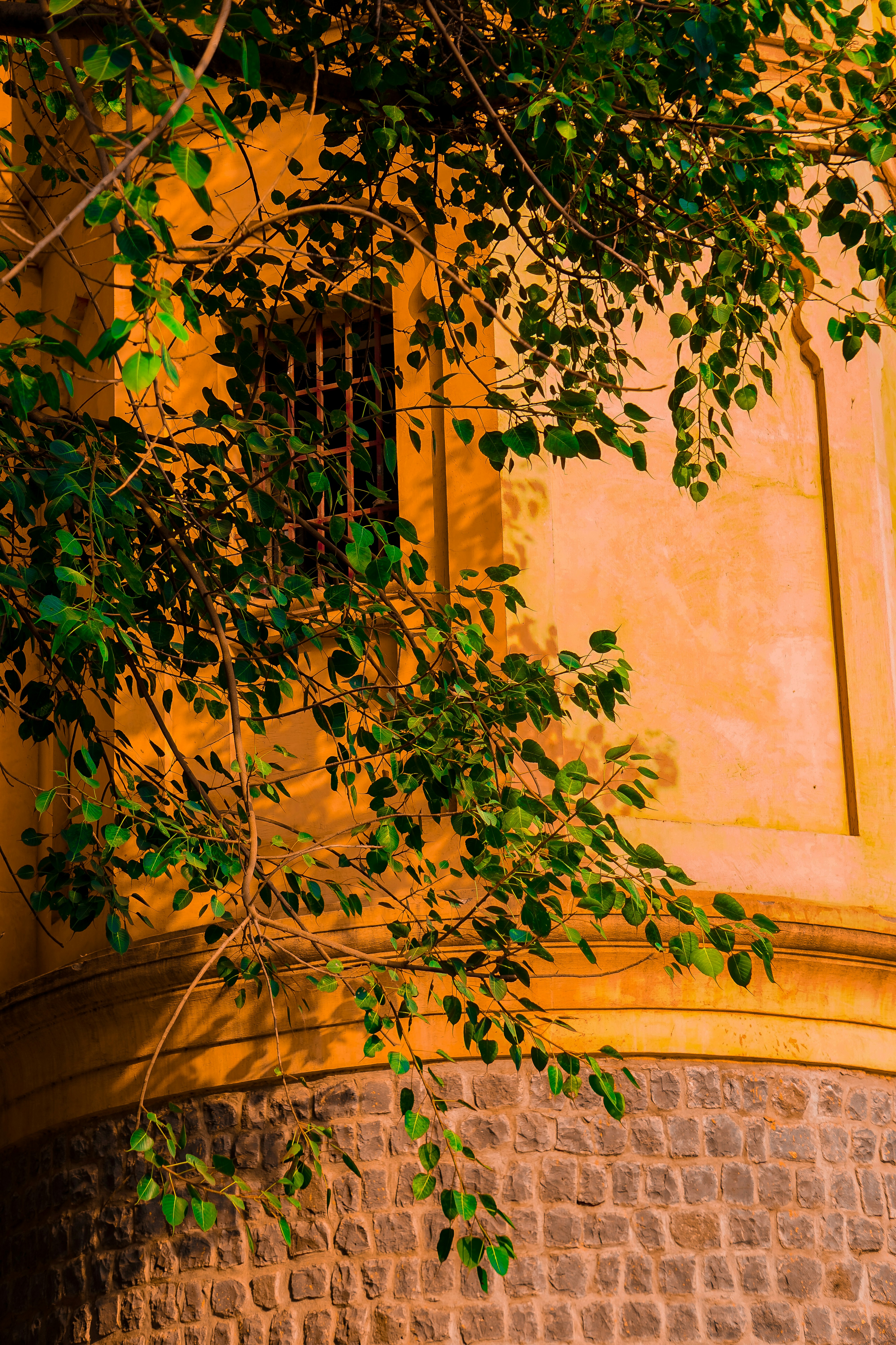 Photo by __tasveerwala